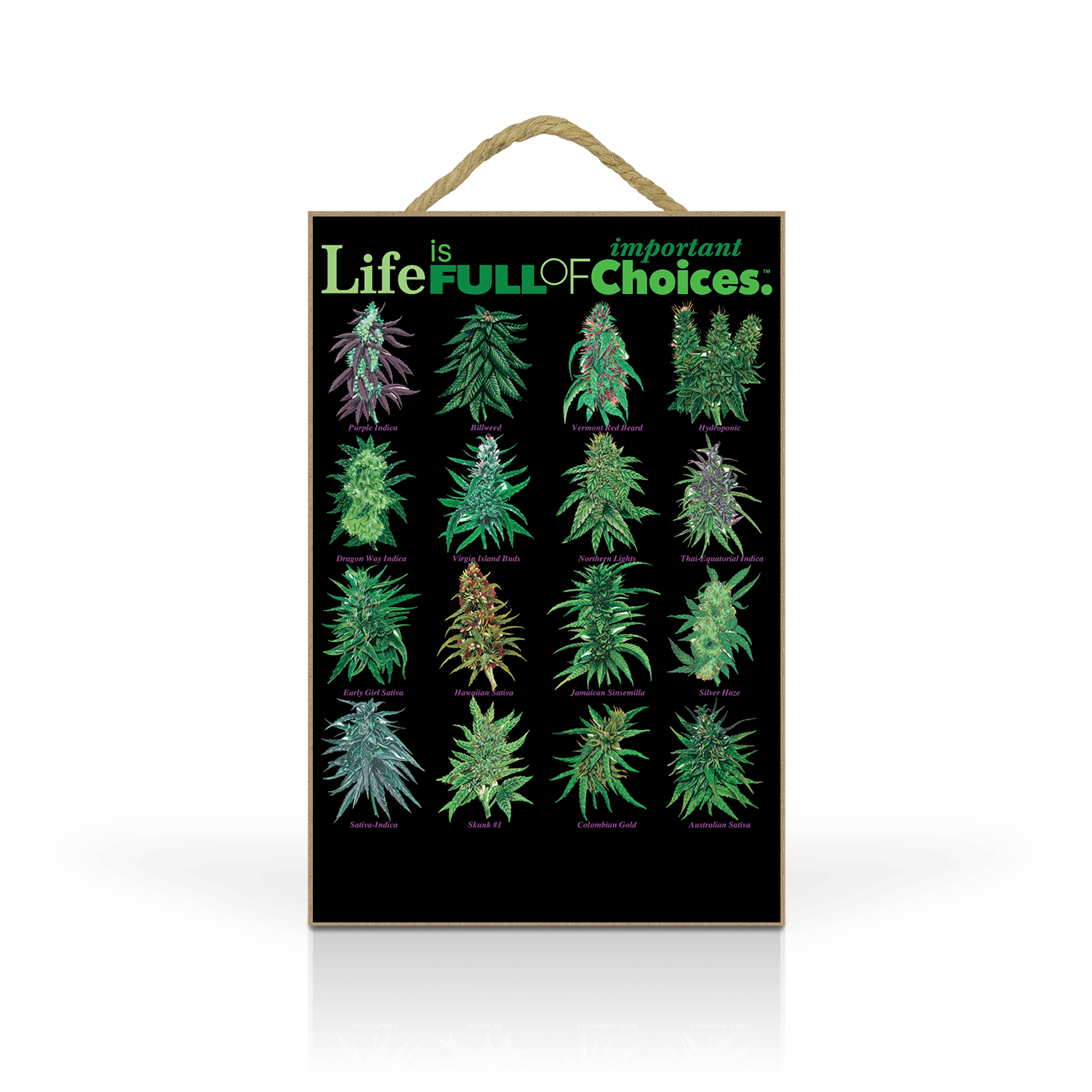 Choices Pot