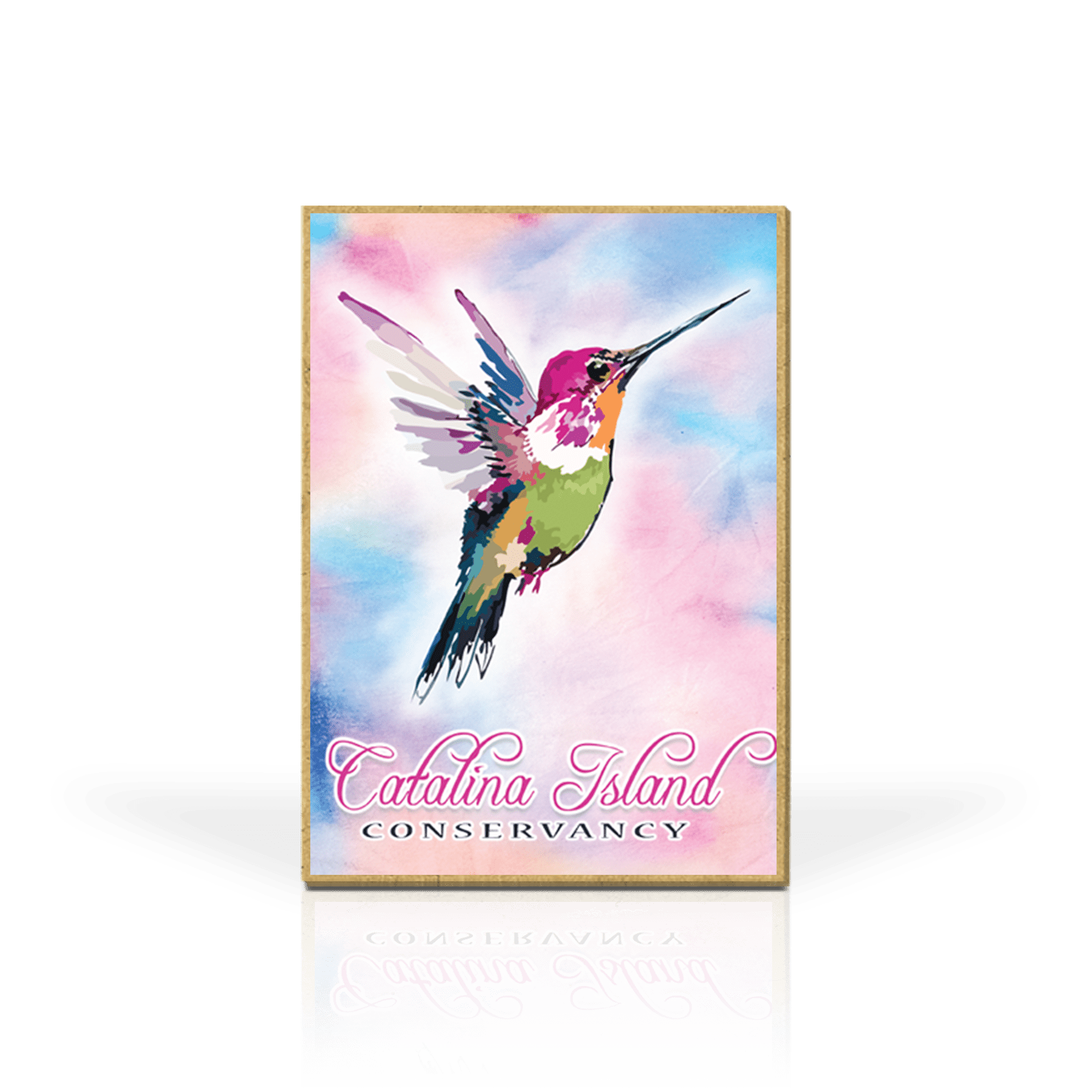 Annas Hummingbird TD
