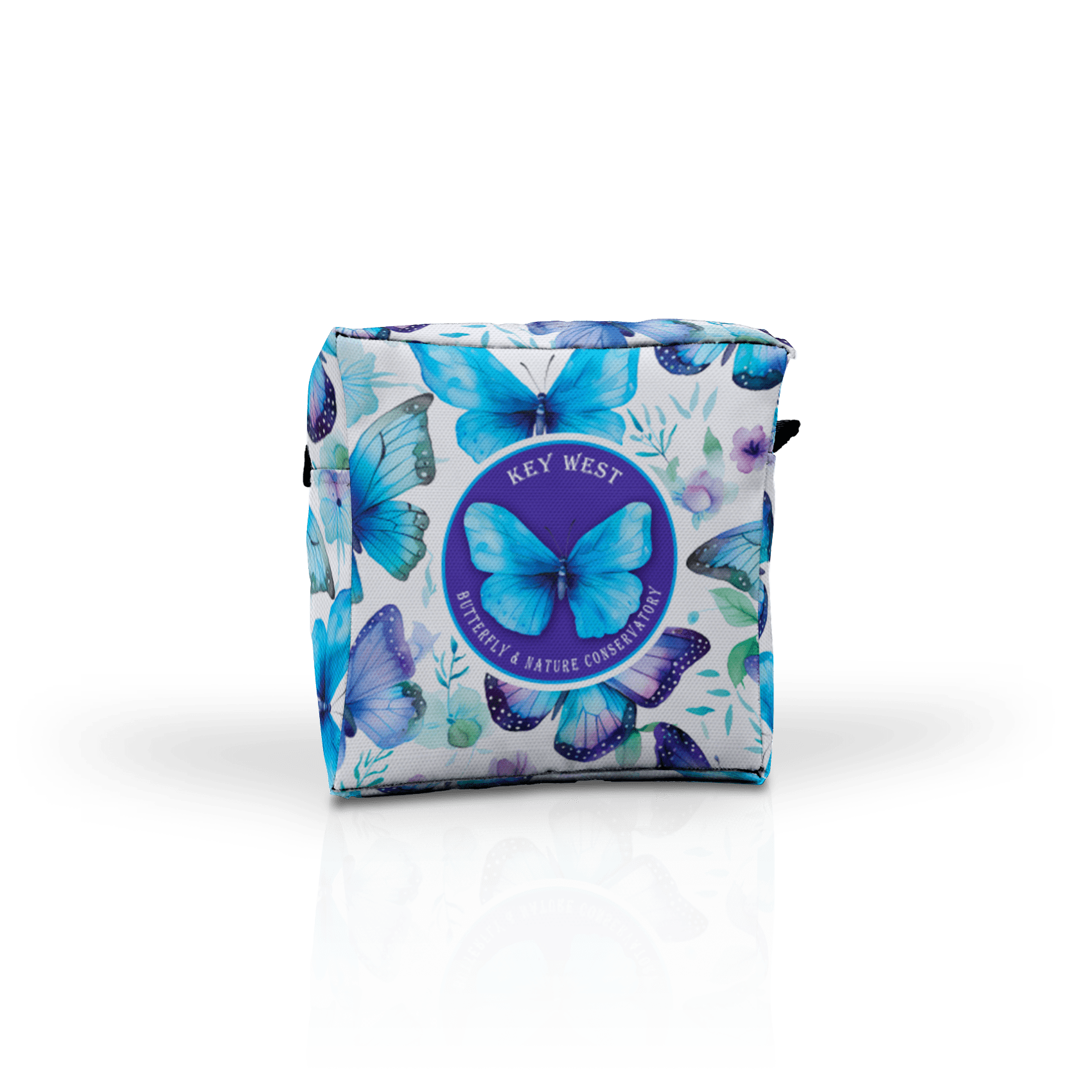 Aqua and Purple Butterflies