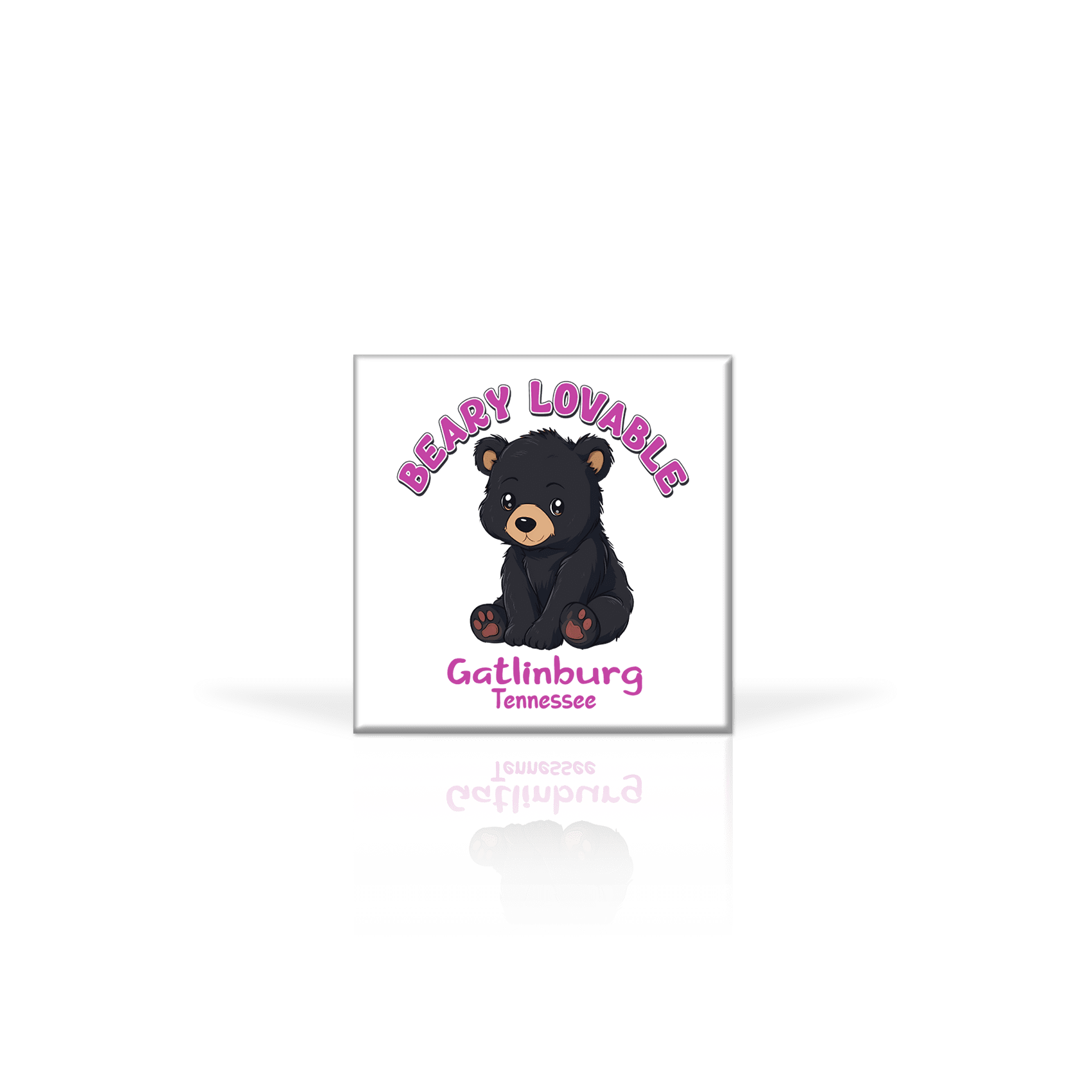 Baby Animal Black Bear