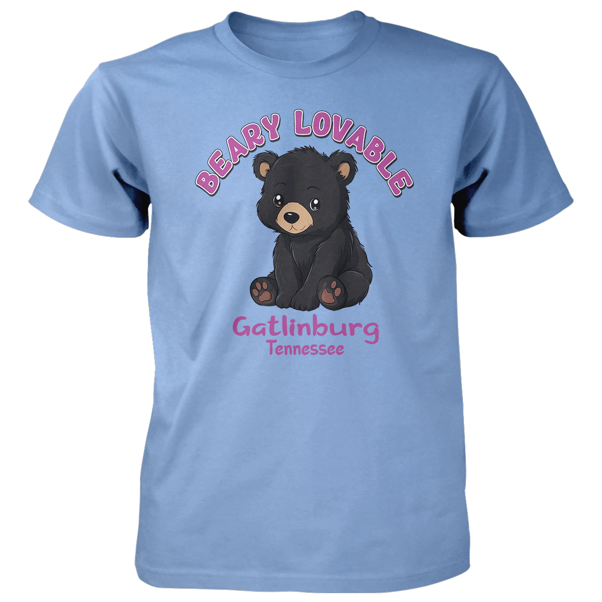 Baby Animal Black Bear