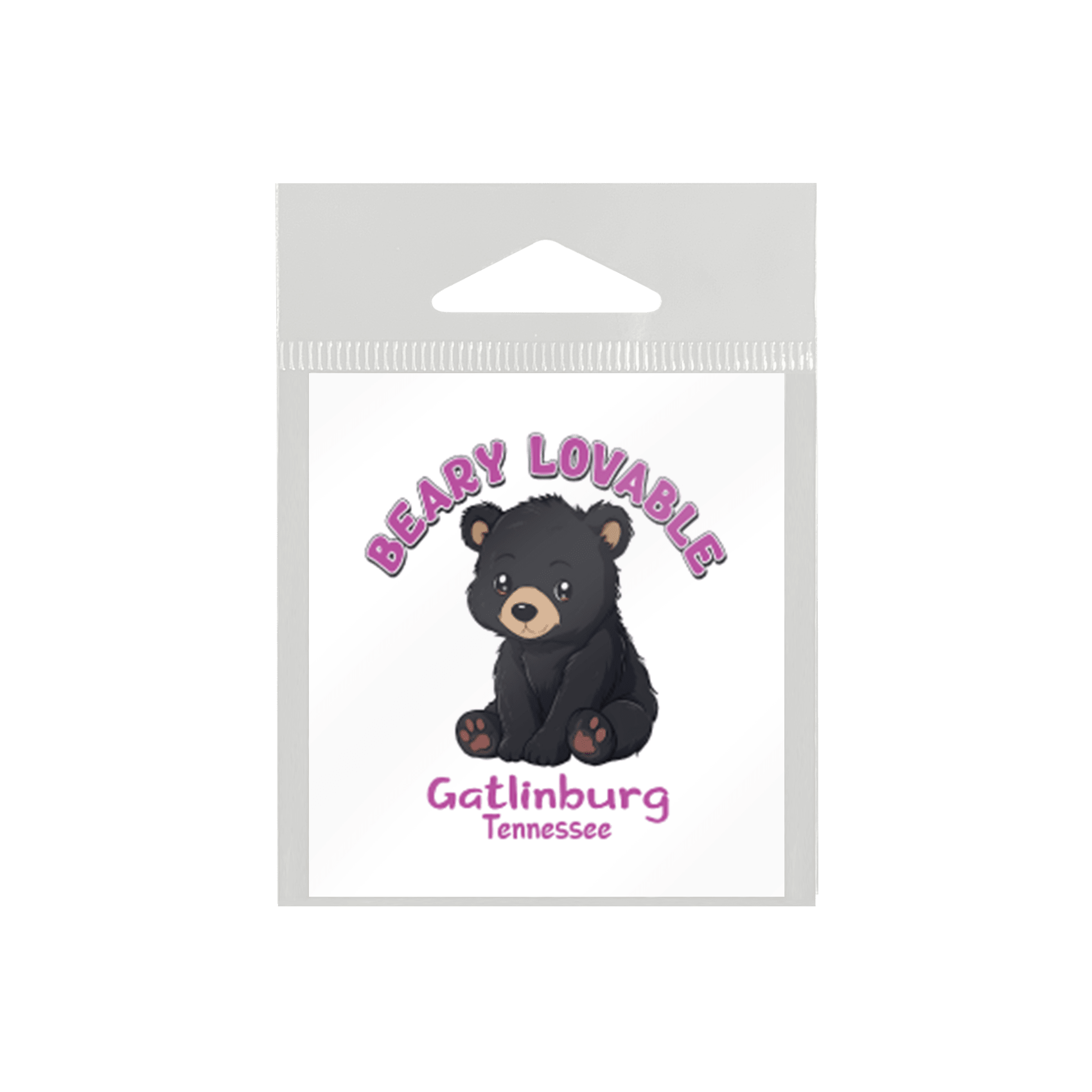 Baby Animal Black Bear