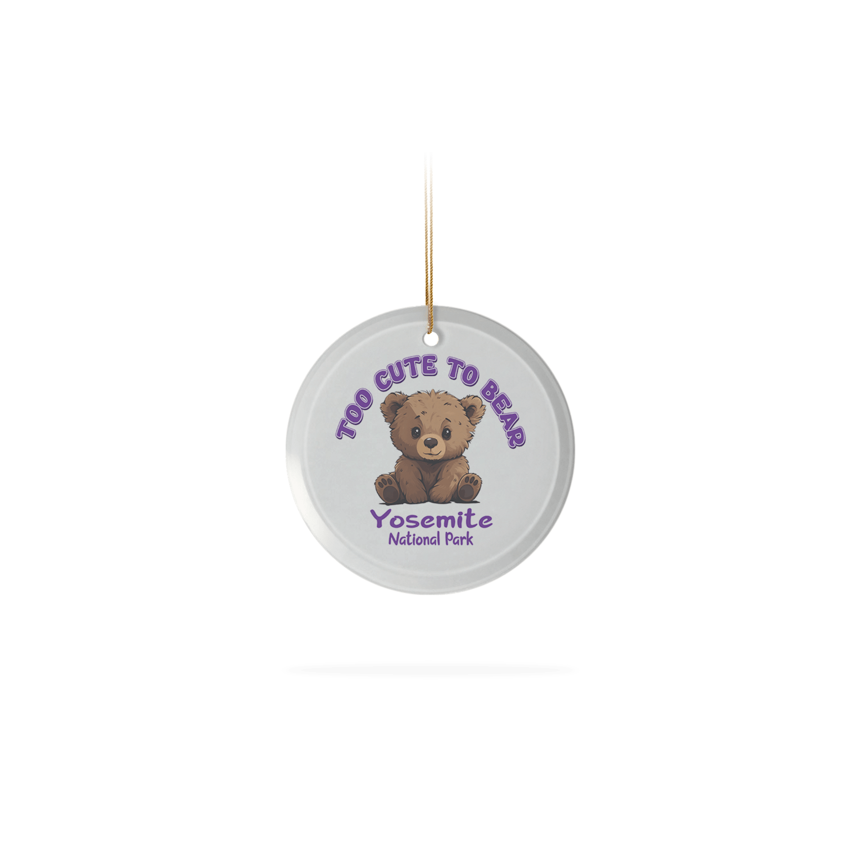Baby Animal Grizzly Bear