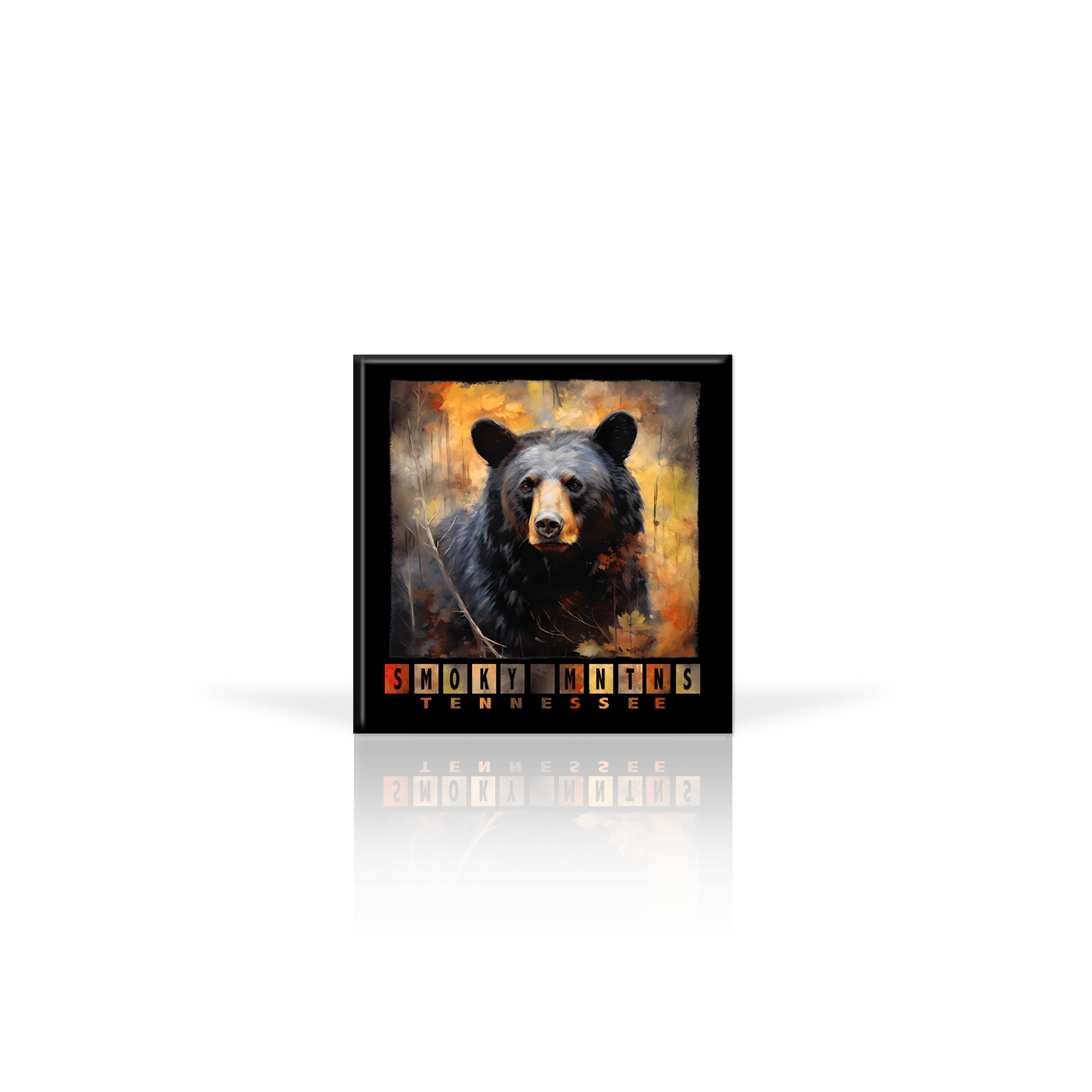 Bear Color Block