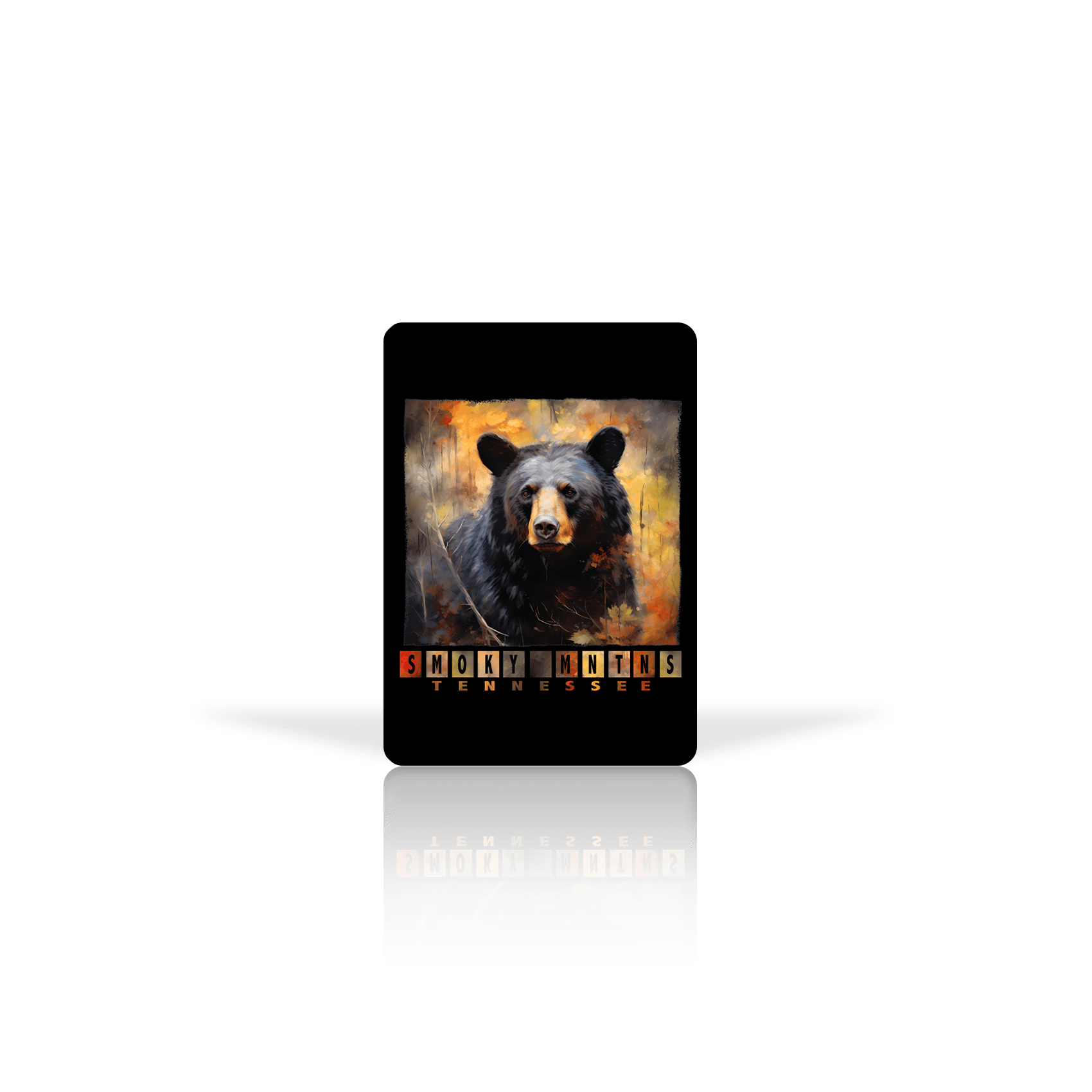 Bear Color Block