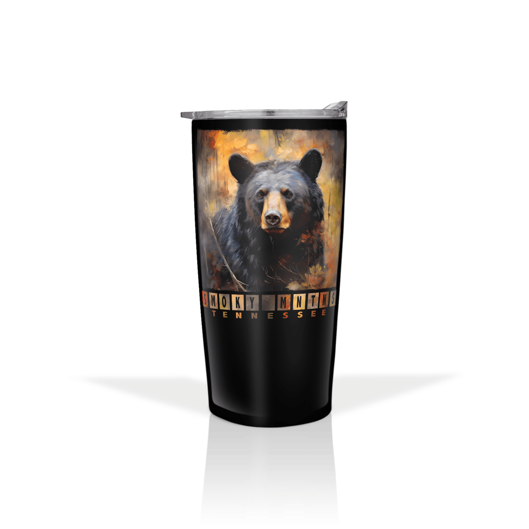 Bear Color Block