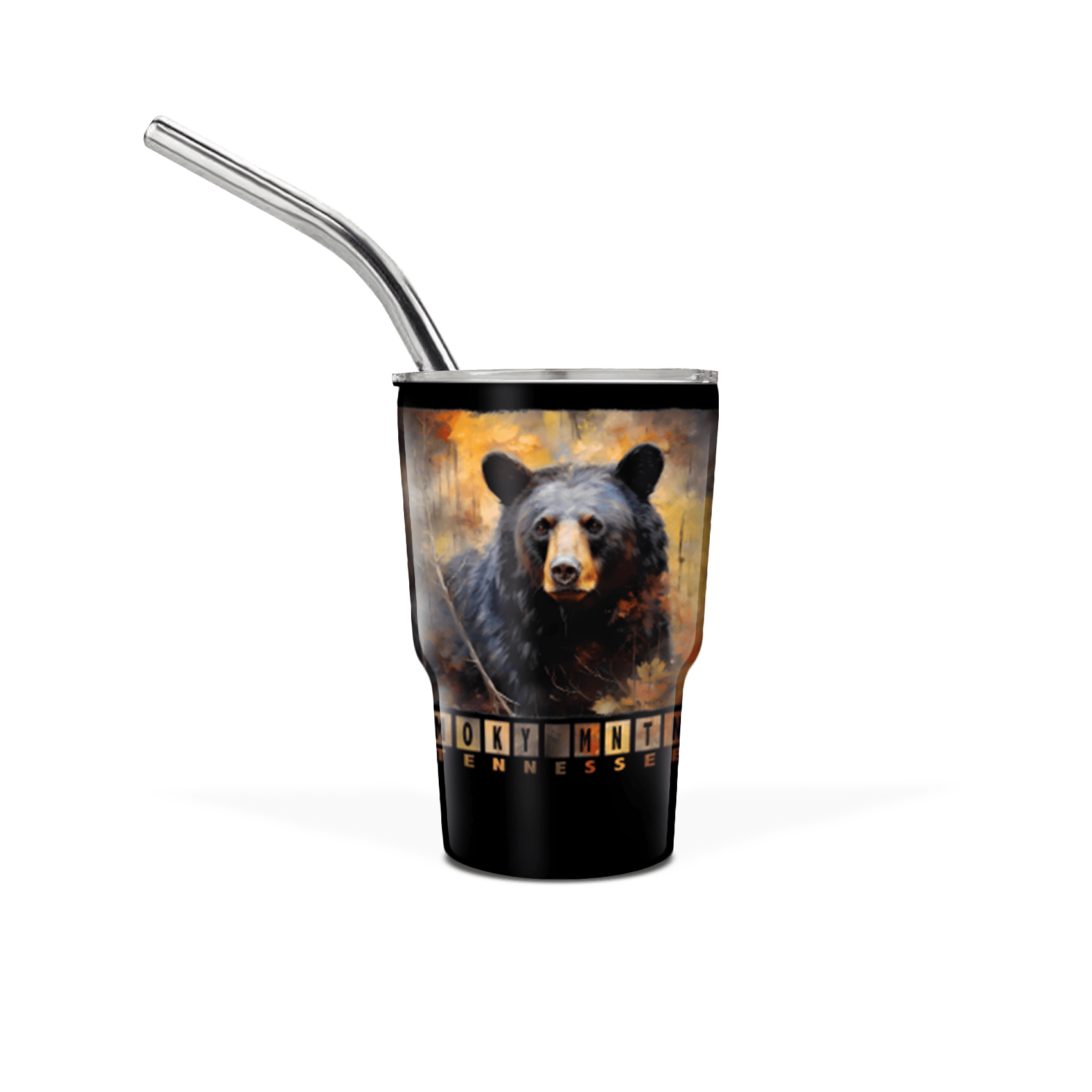 Bear Color Block