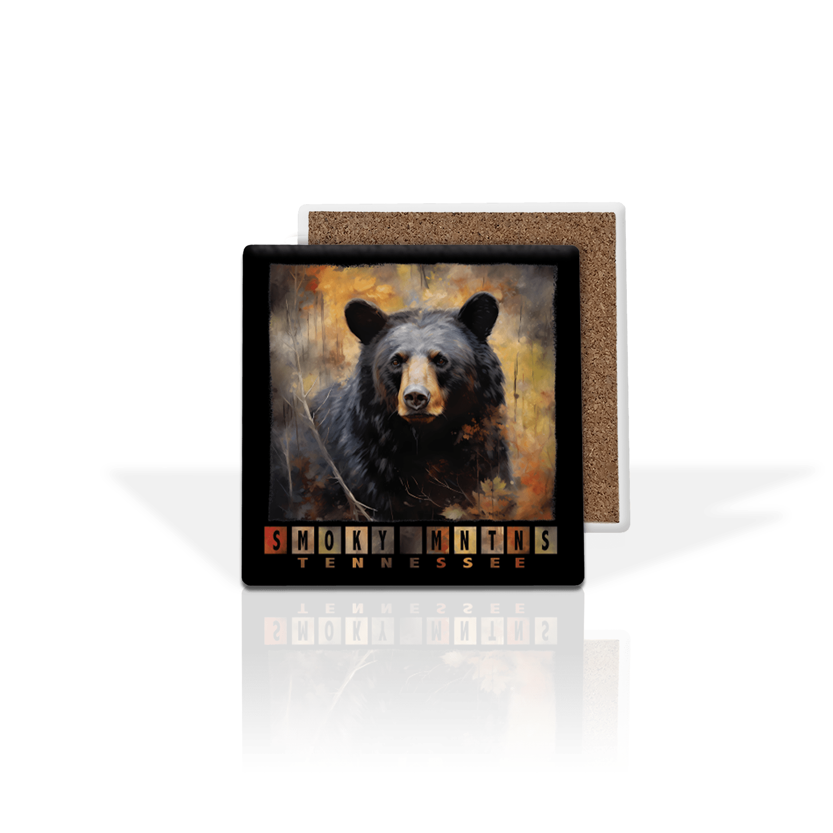 Bear Color Block