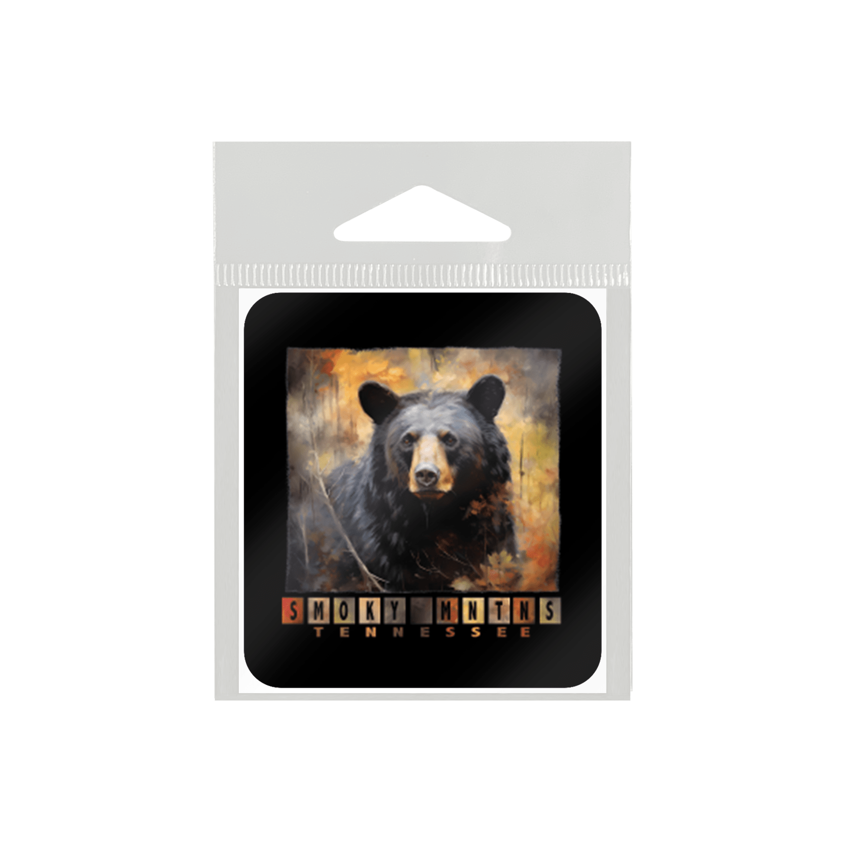 Bear Color Block