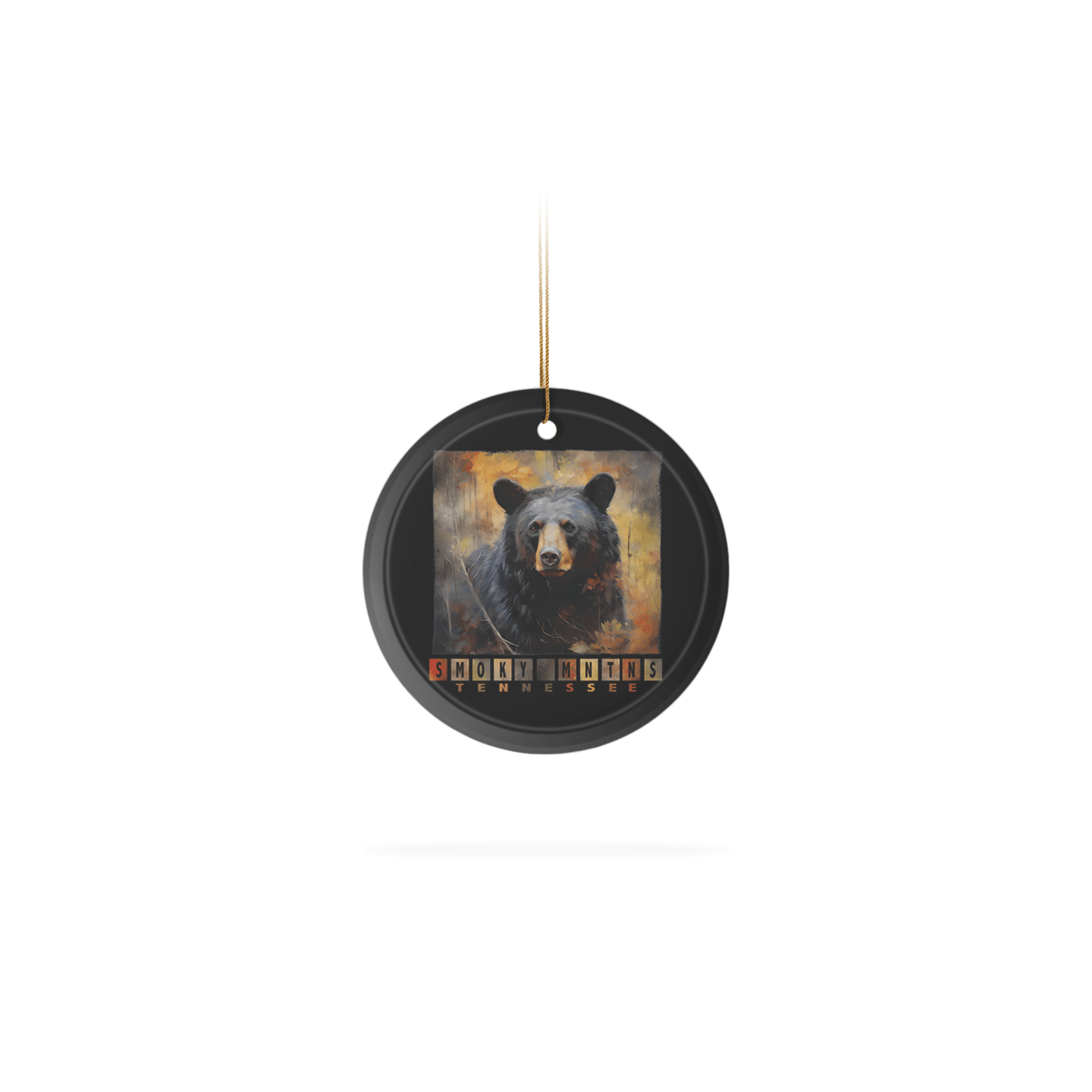 Bear Color Block