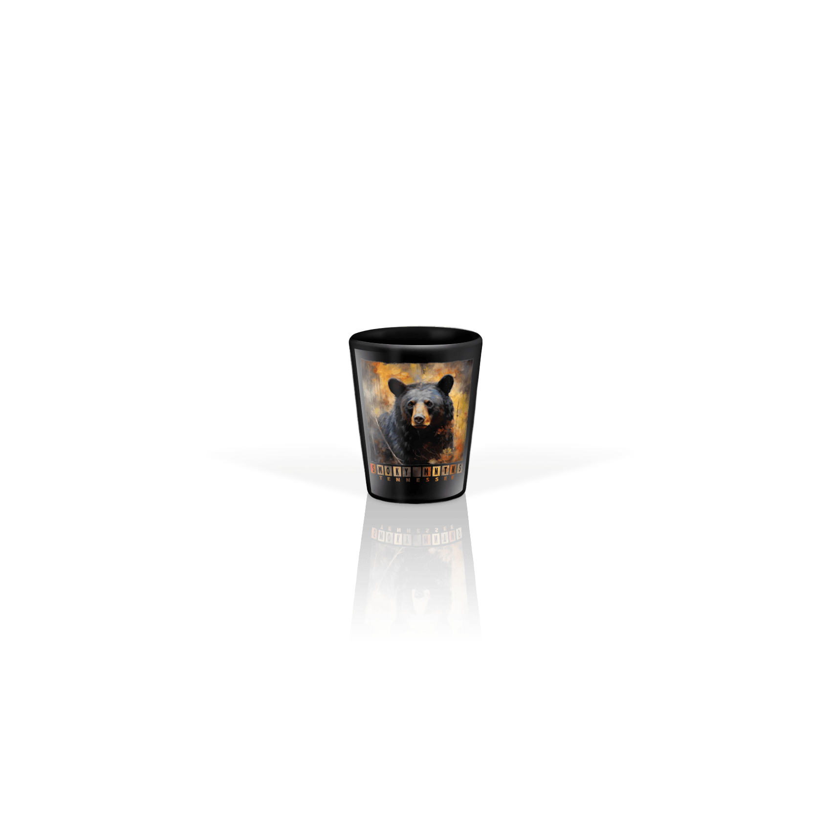 Bear Color Block