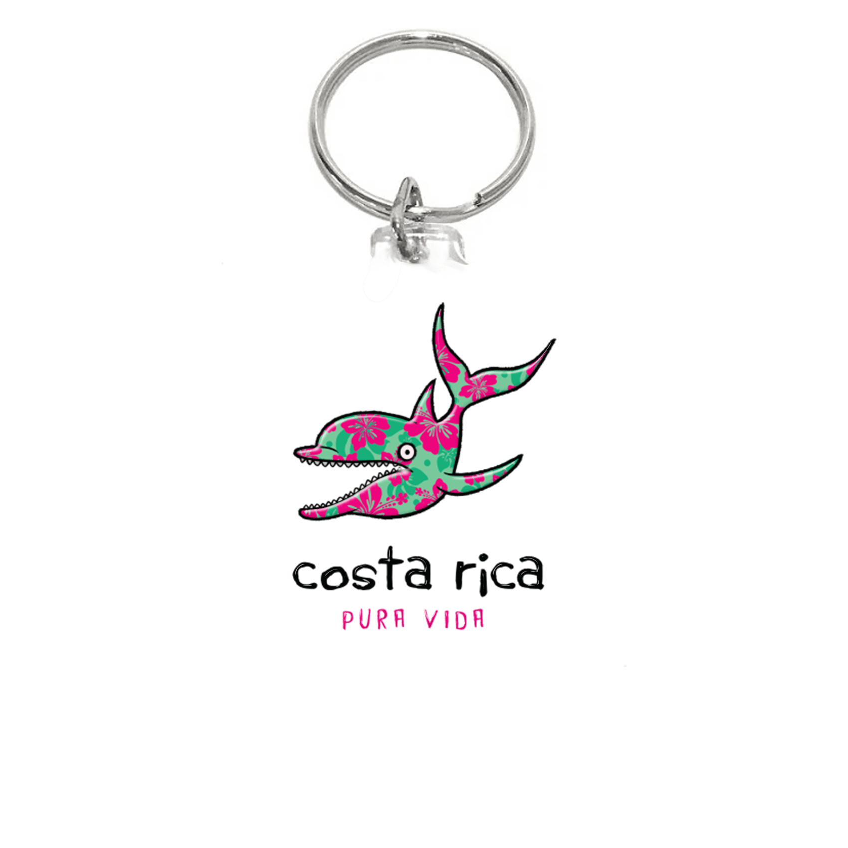 Crazy Dolphin