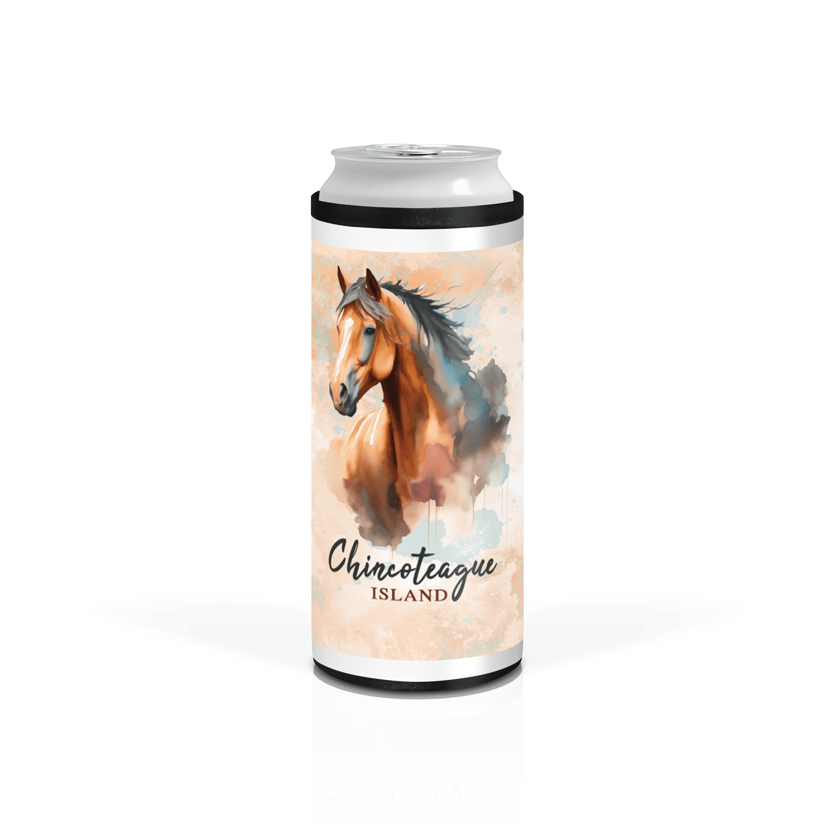 Chincoteague Pony