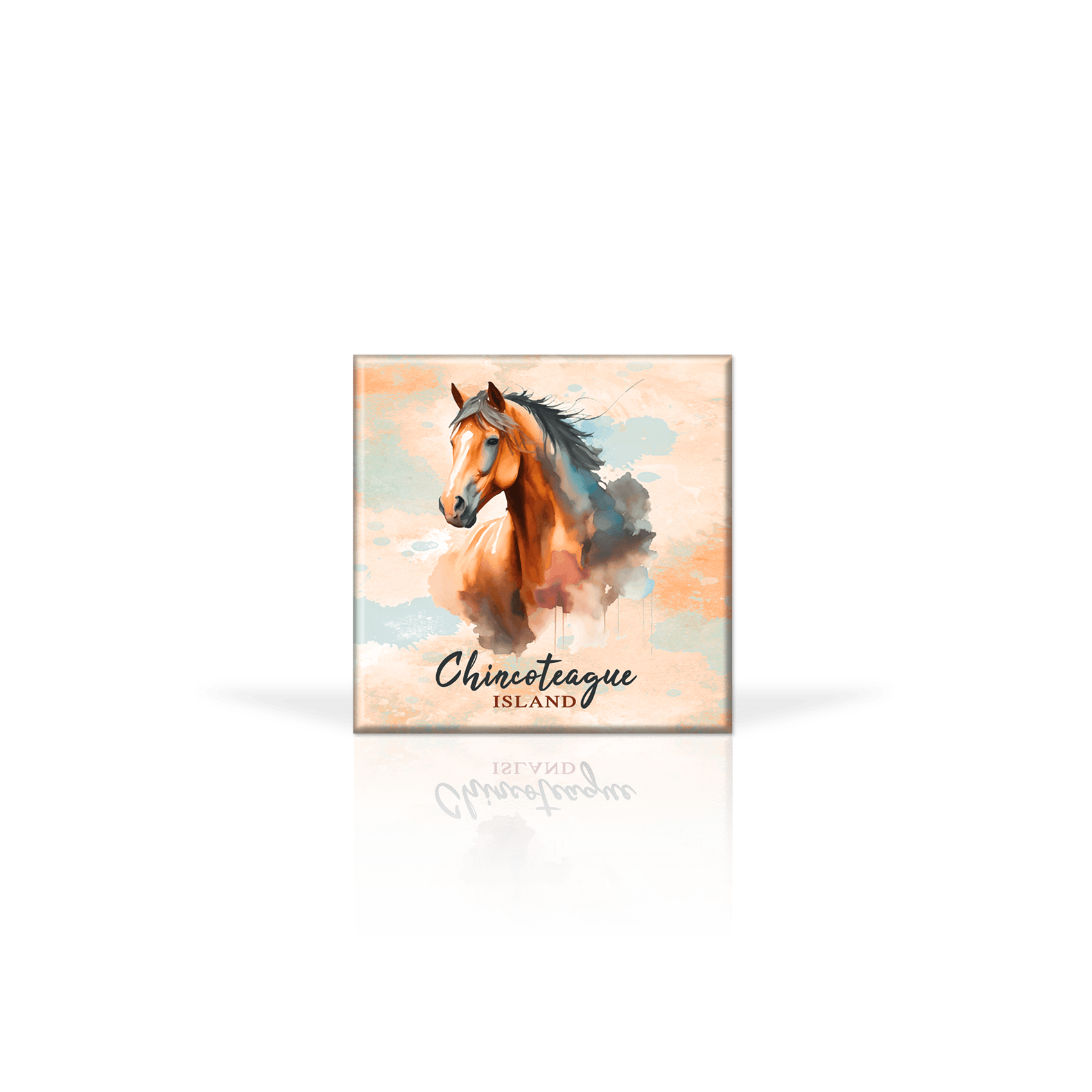 Chincoteague Pony