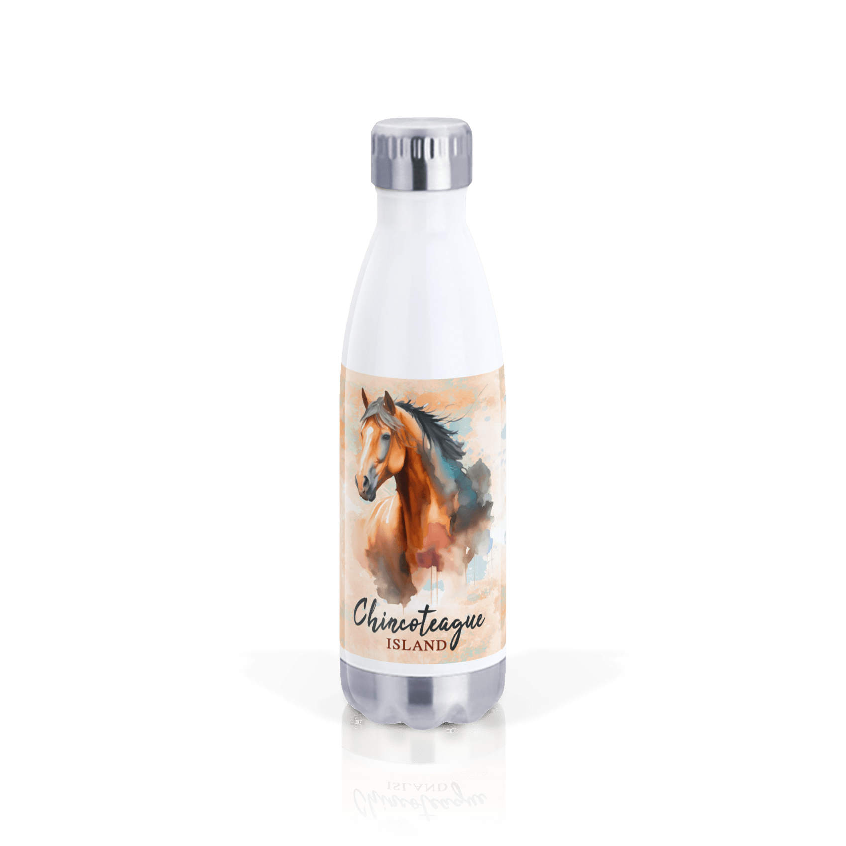 Chincoteague Pony