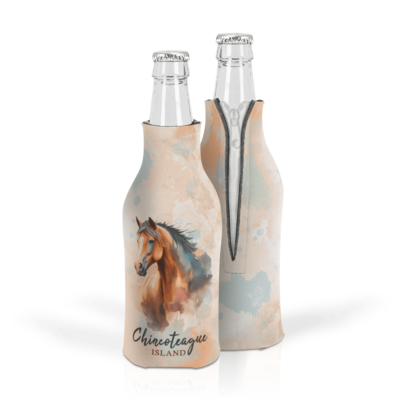 Chincoteague Pony