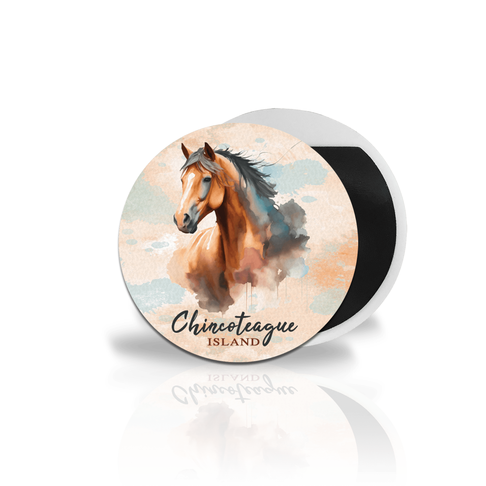 Chincoteague Pony