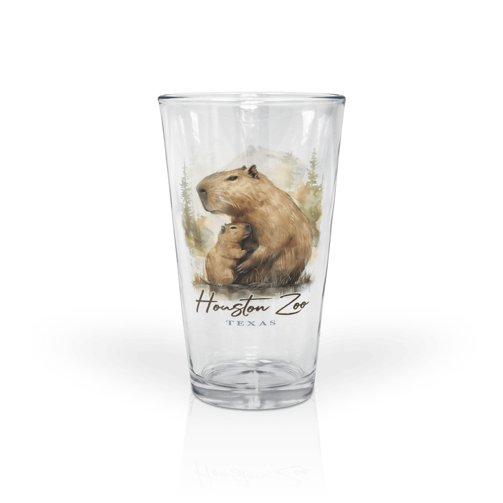 Clear 16 oz Pint Glass