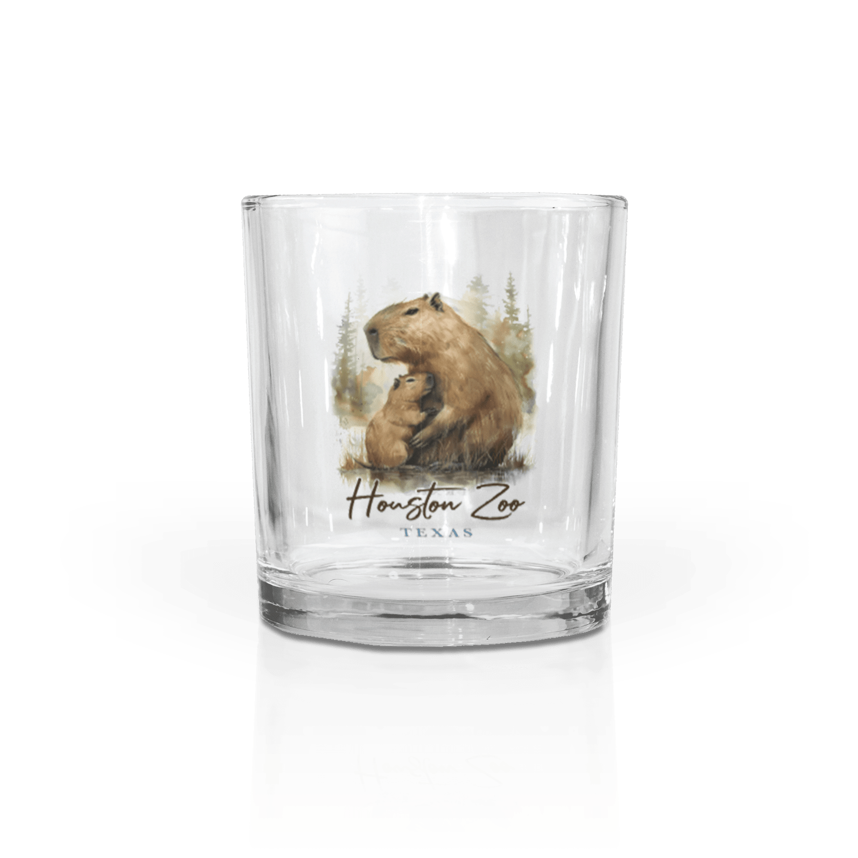 Clear 11 oz Rocks Glass
