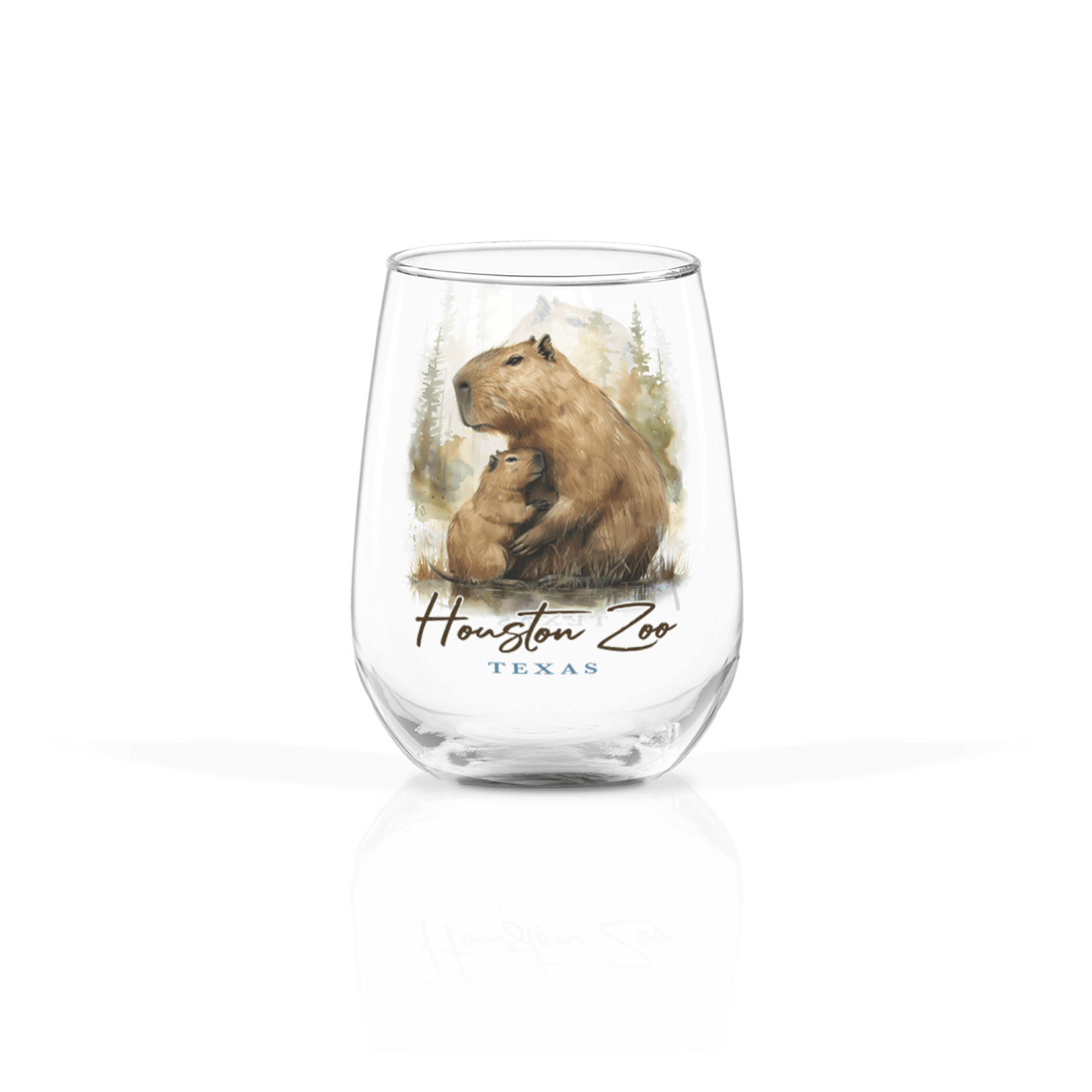 Clear 17oz Stemless Wine Glass