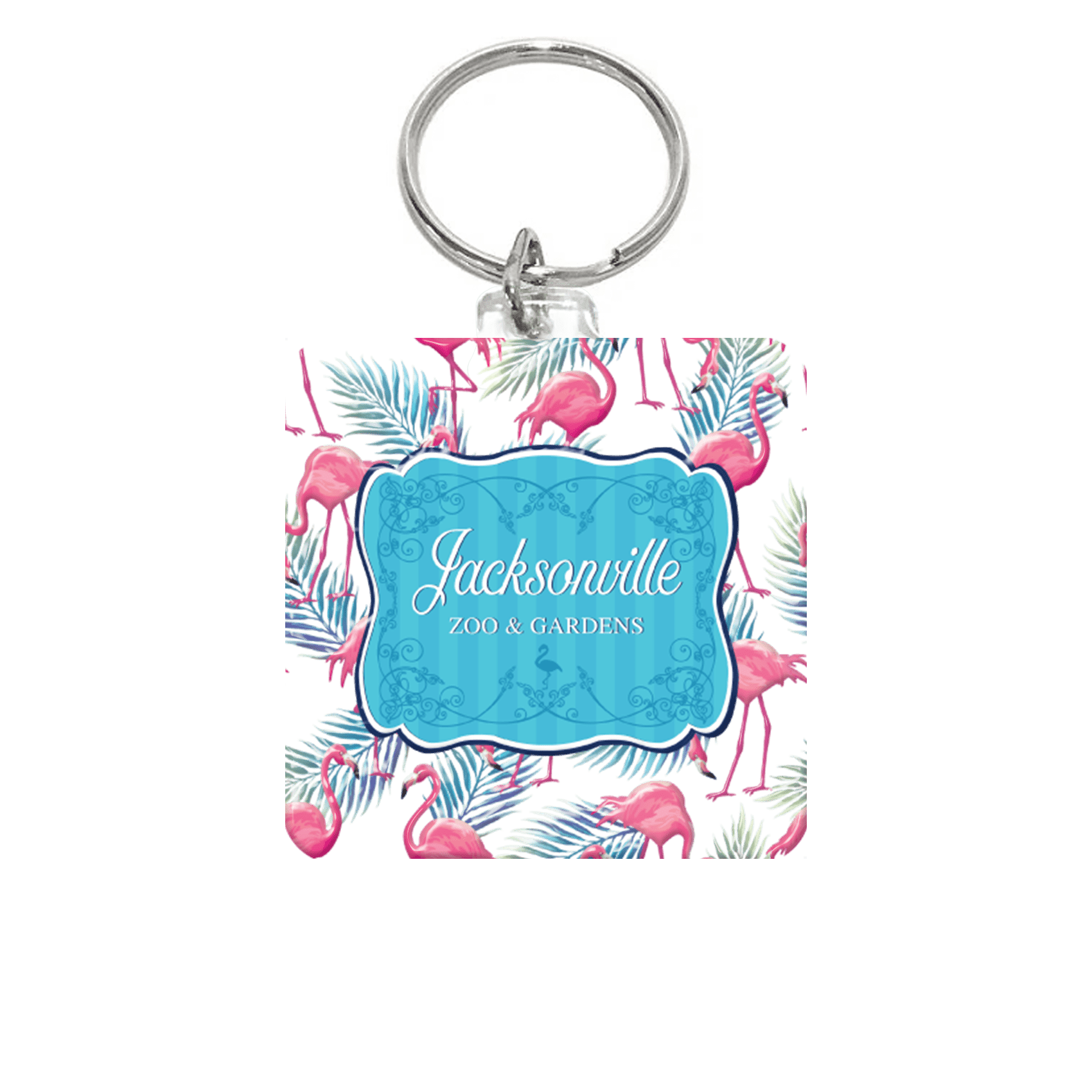 Flamingos & Ferns
