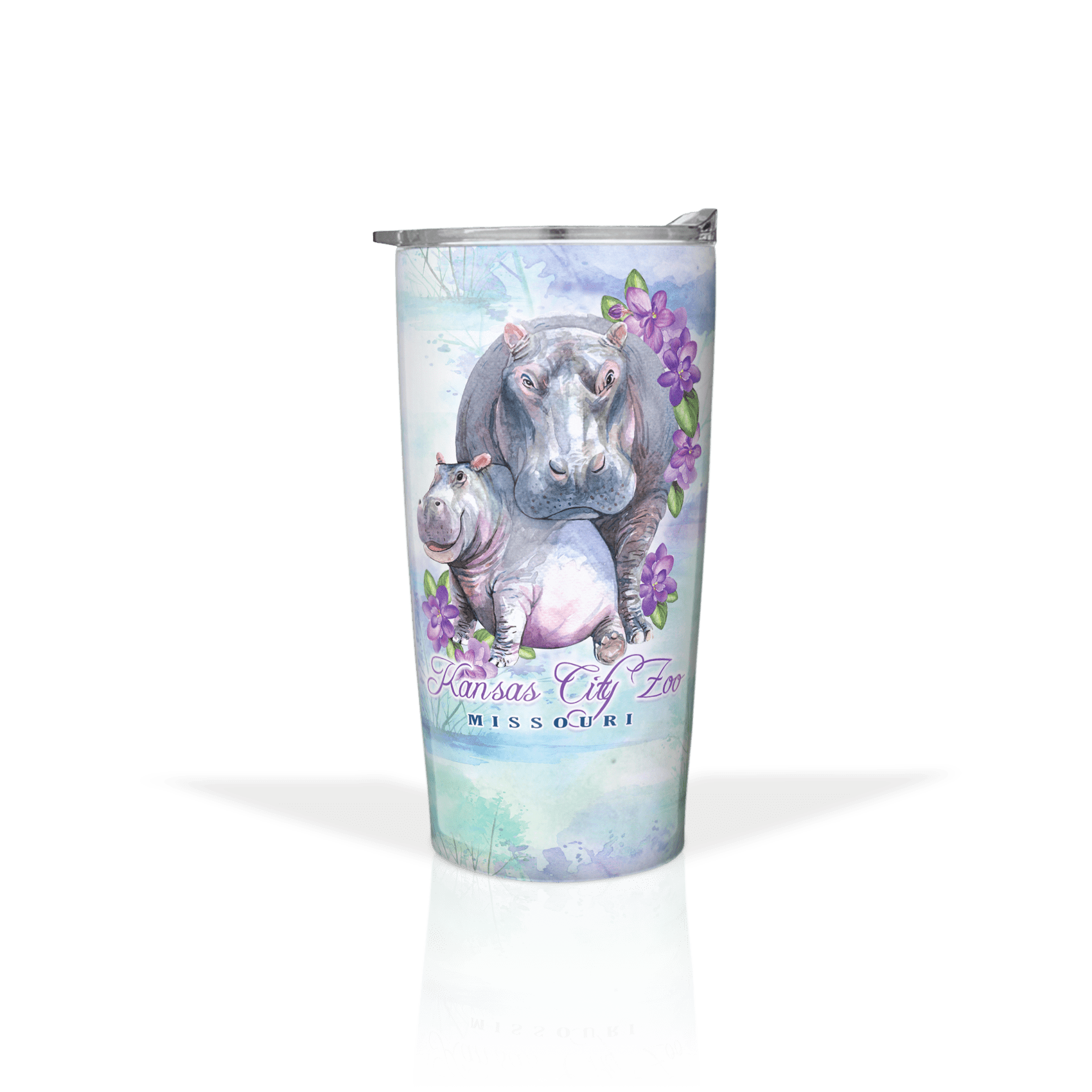 Hippo African Violet