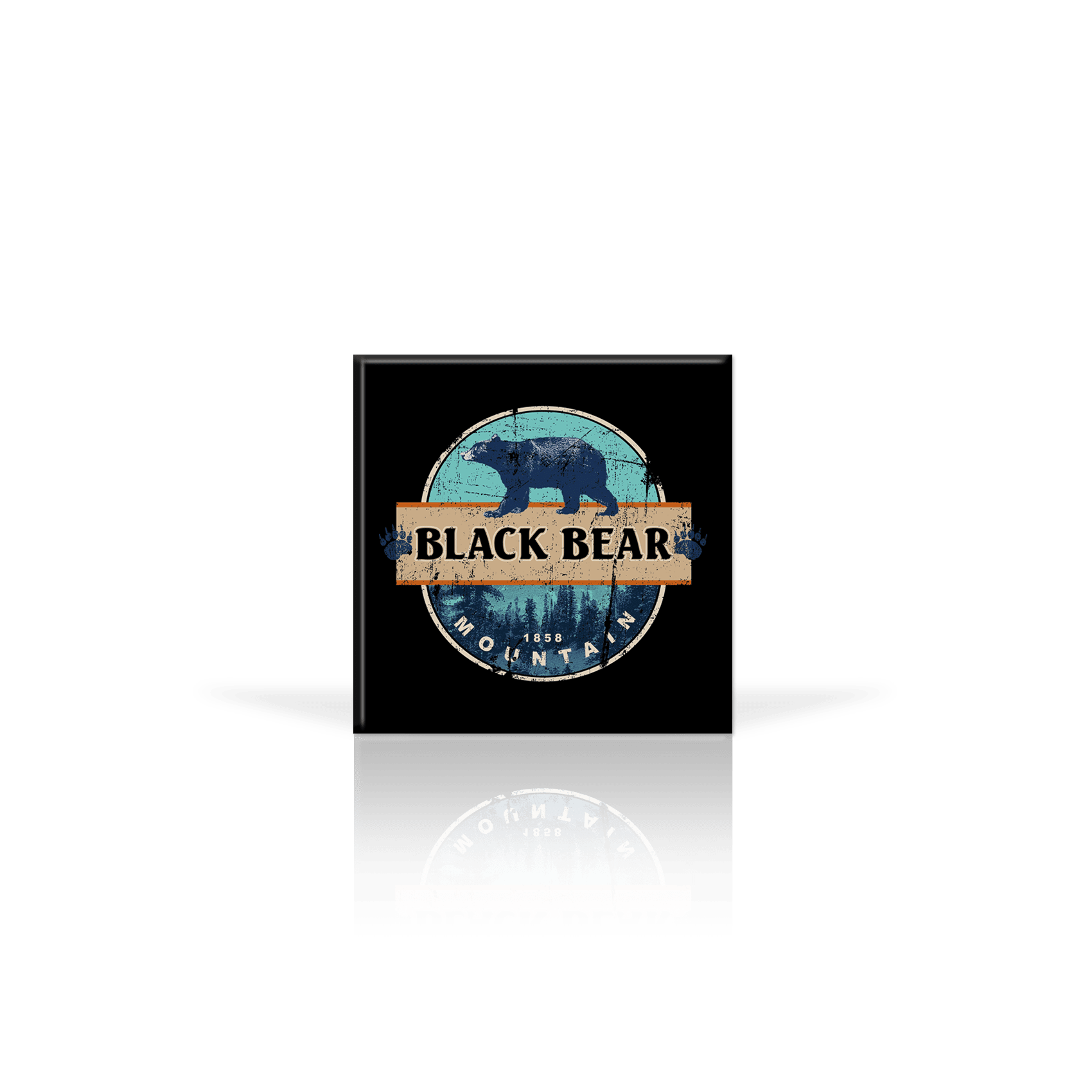 Mountain Black Bear