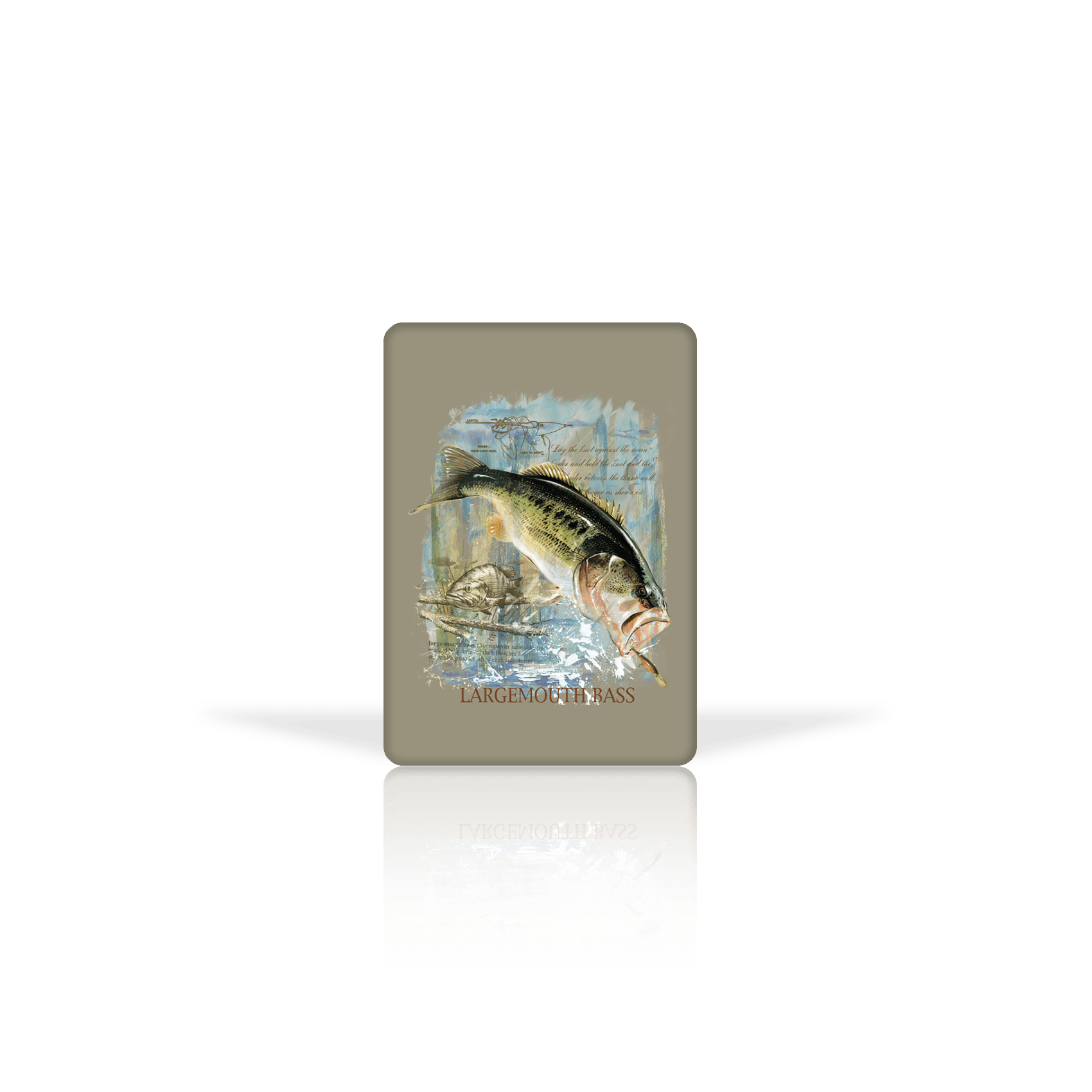 Museum Bass
