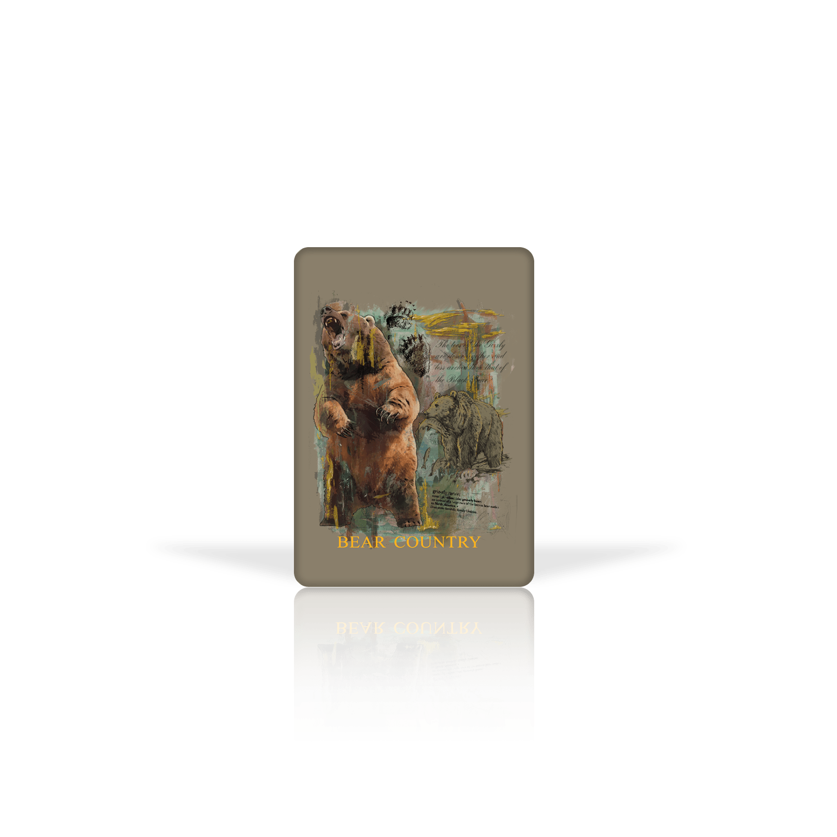 Museum Grizzly