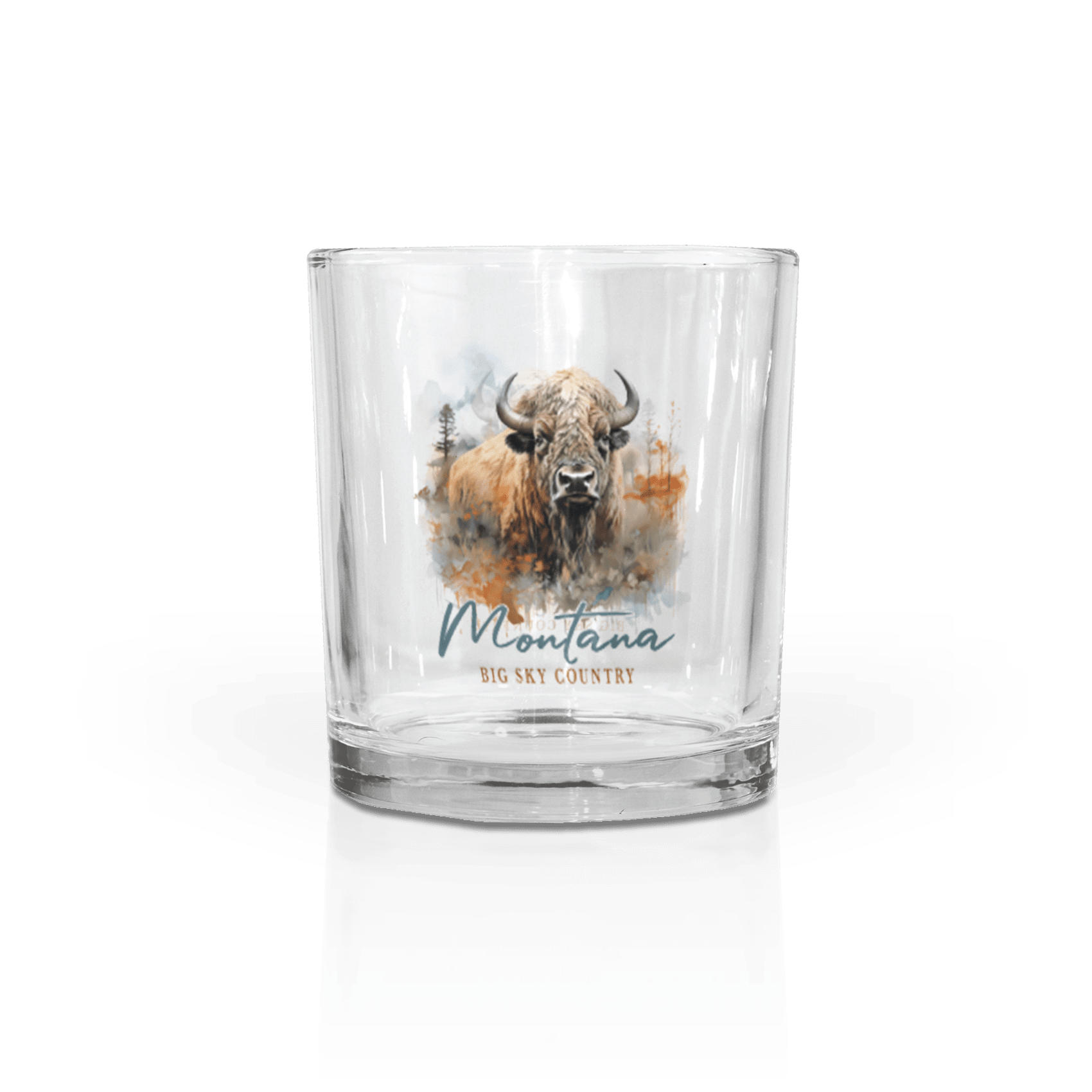 Clear 11 oz Rocks Glass