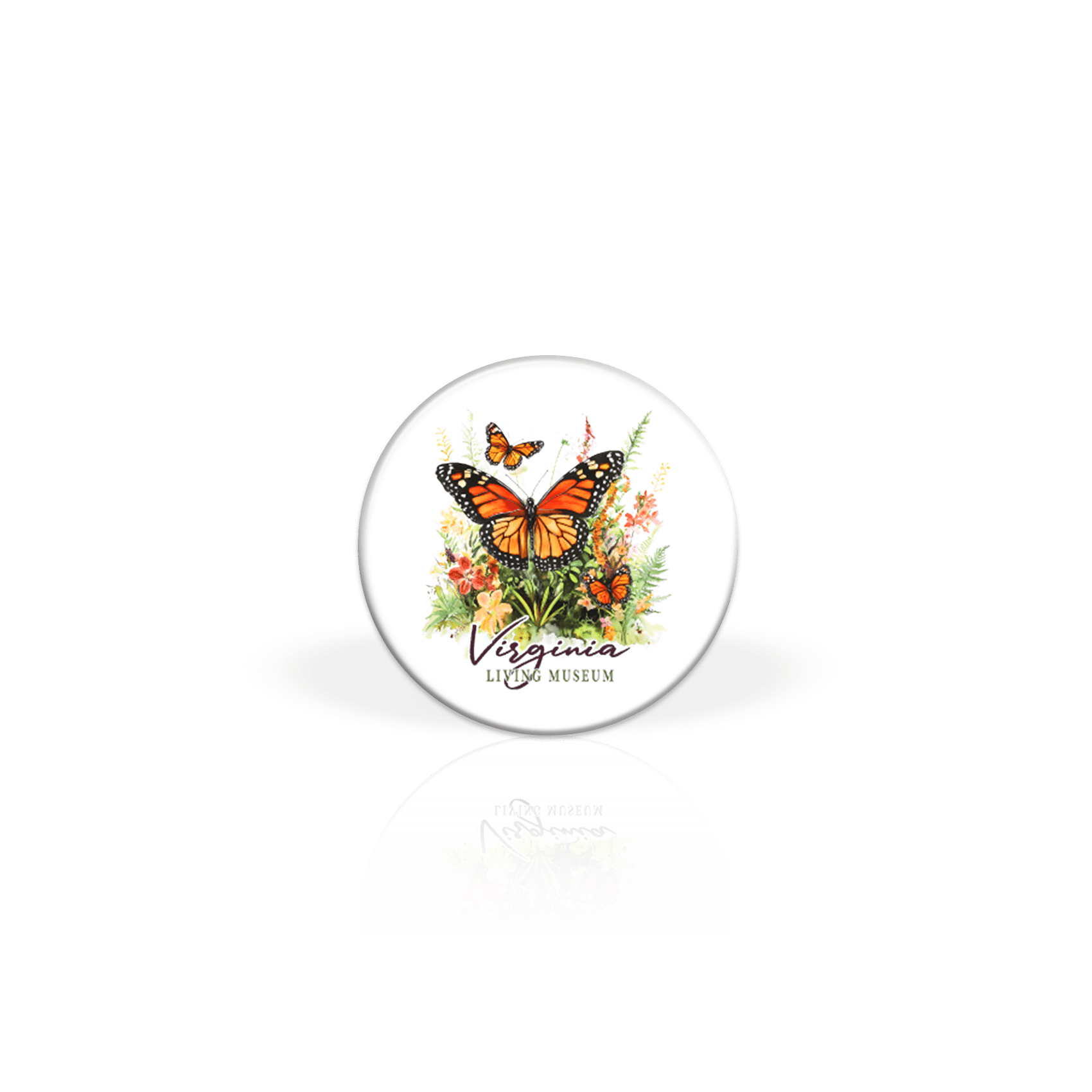 MP Monarch Butterfly 2