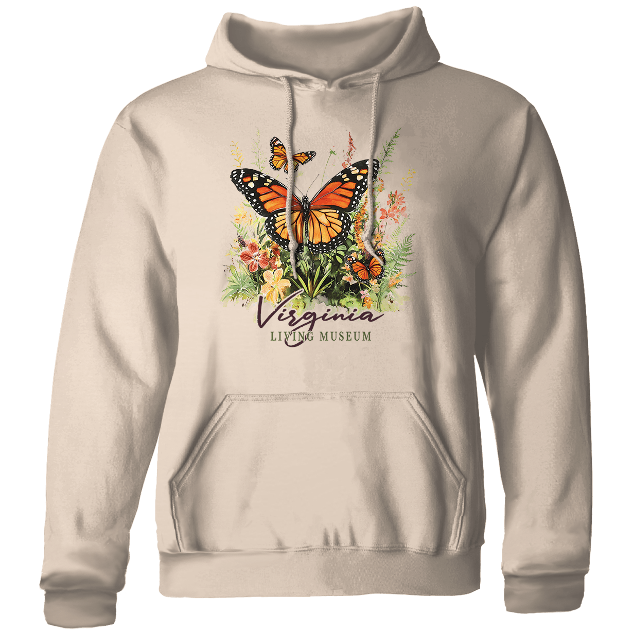 MP Monarch Butterfly 2