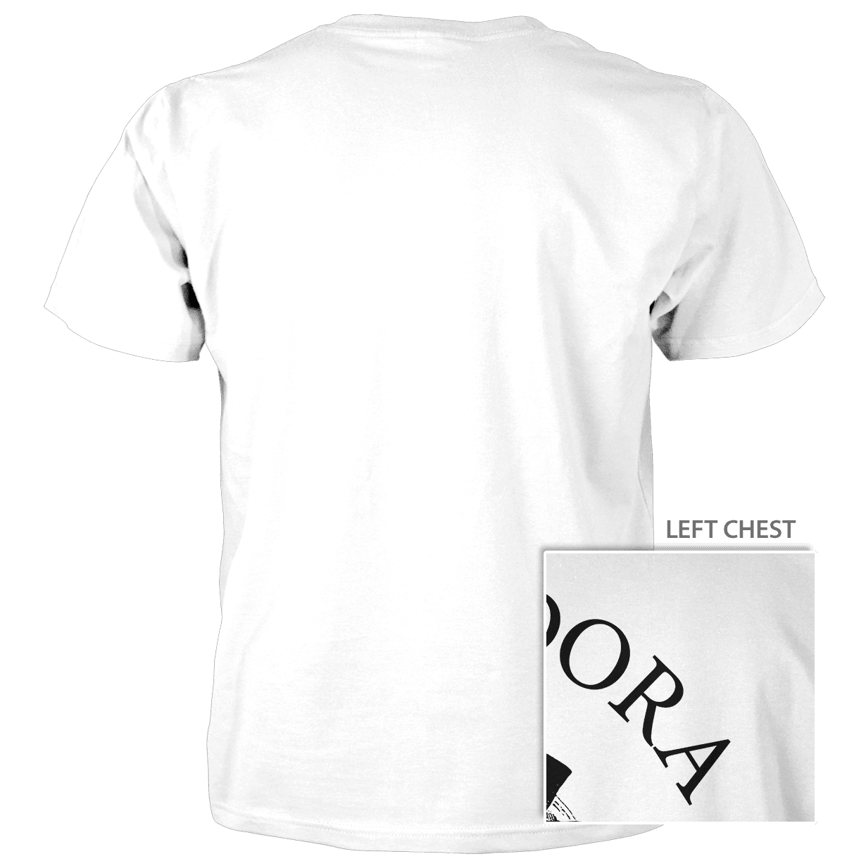 Mount Dora Logo Gator