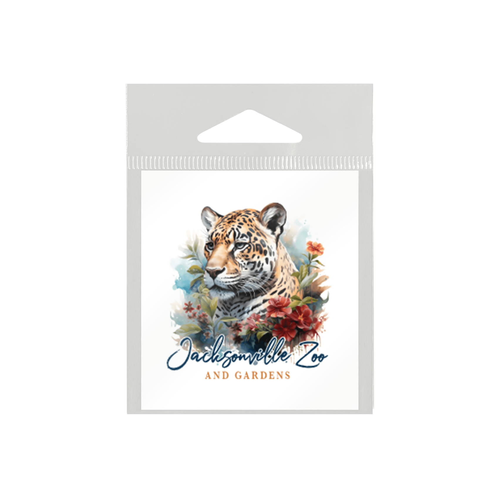 Masterpiece Jaguar Bromelaids