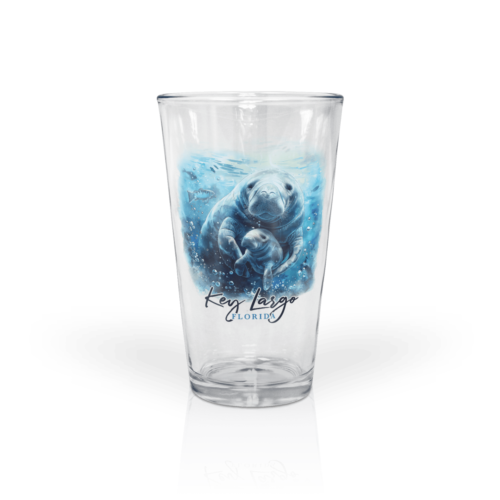Clear 16 oz Pint Glass