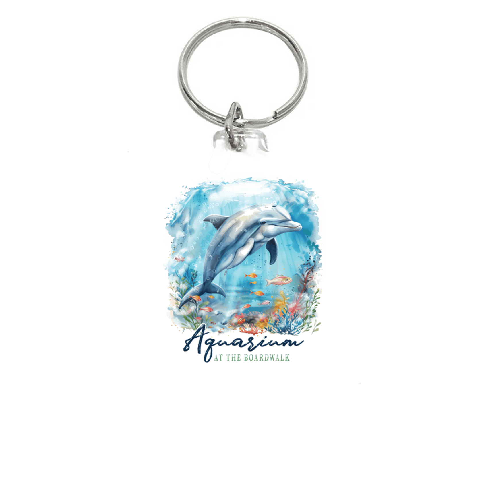 Masterpiece Dolphin