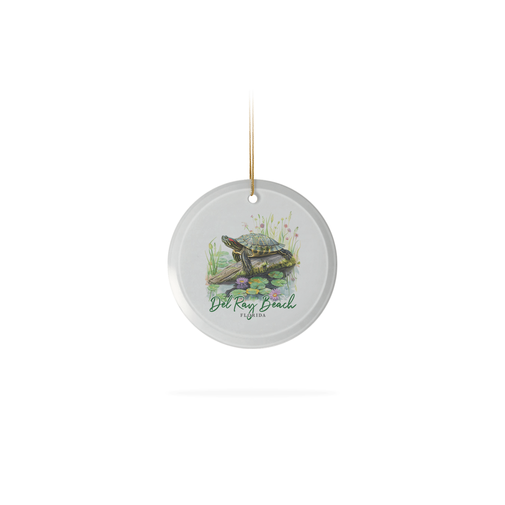 Masterpiece Red Eared Slider Turtle