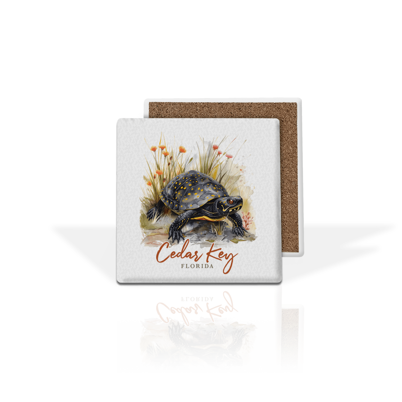 Masterpiece Spotted Turtle