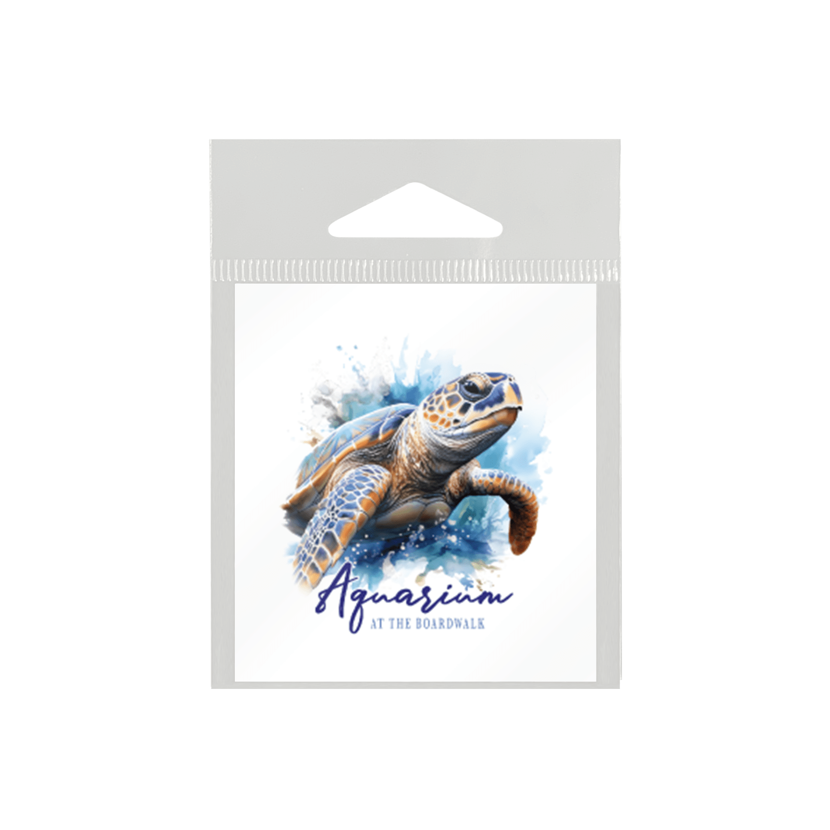 Masterpiece Turtle