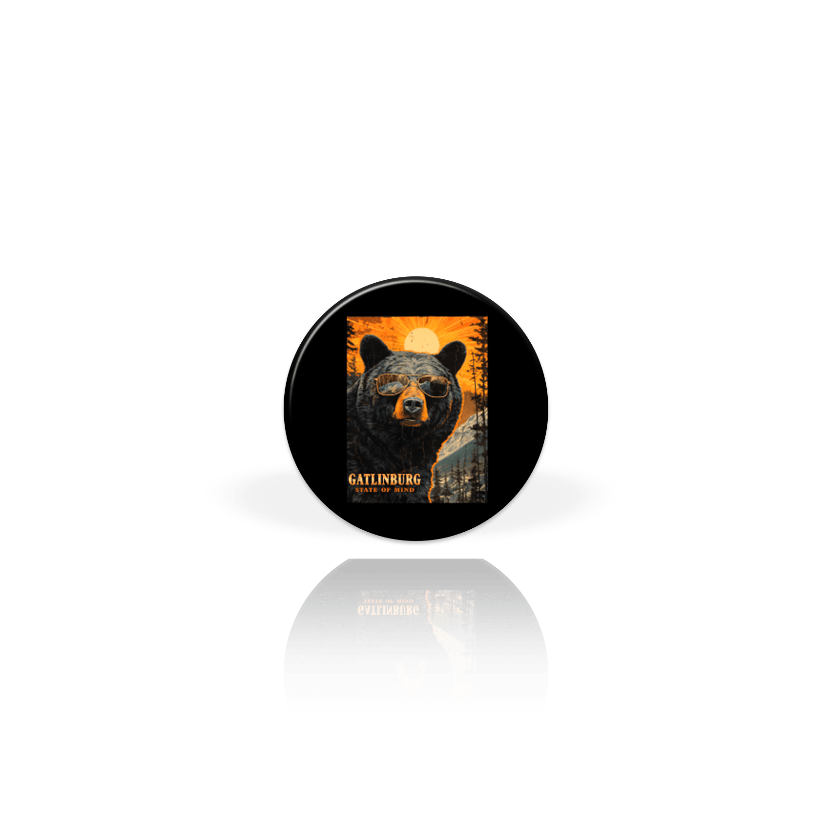 Bear with Sunglasses