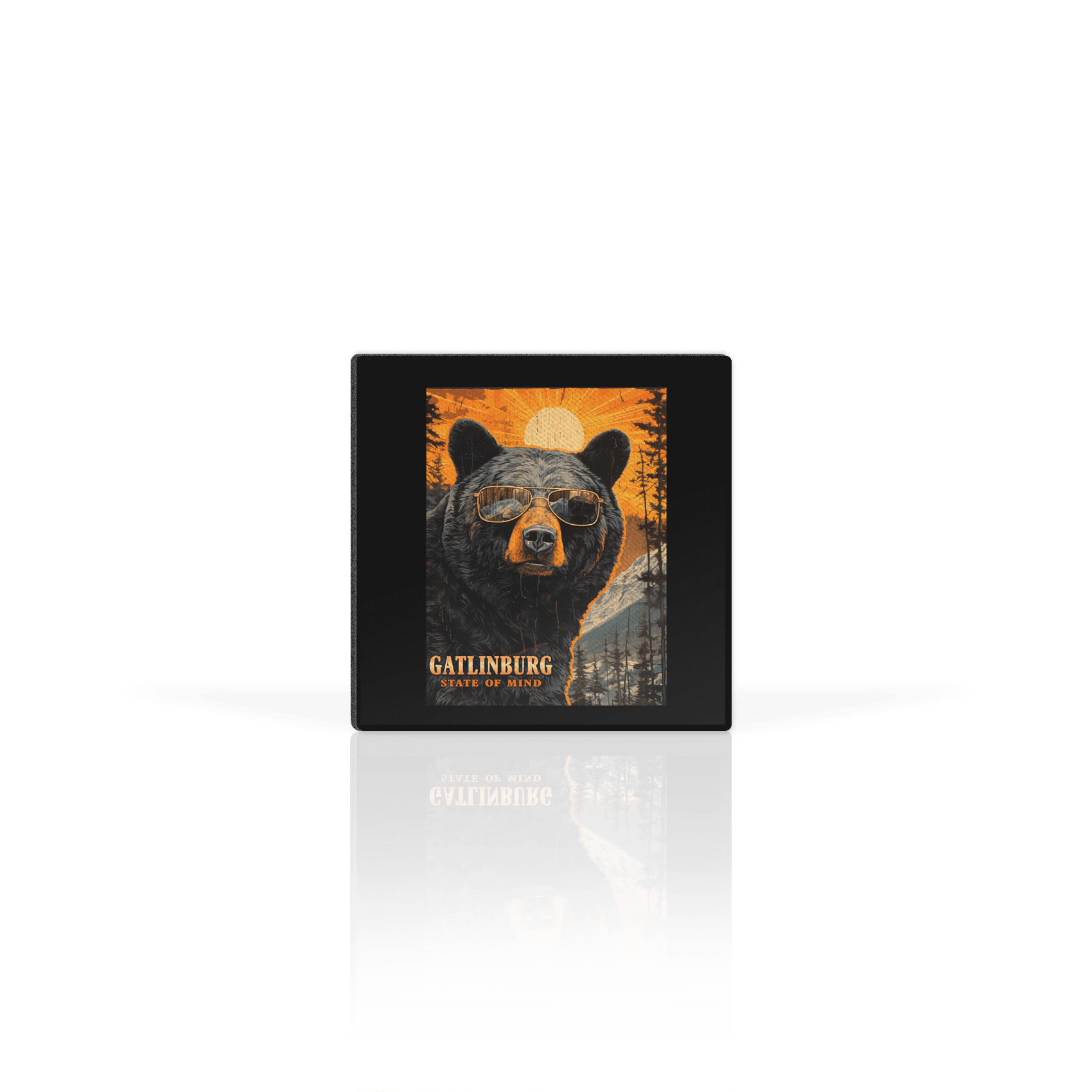 Bear with Sunglasses