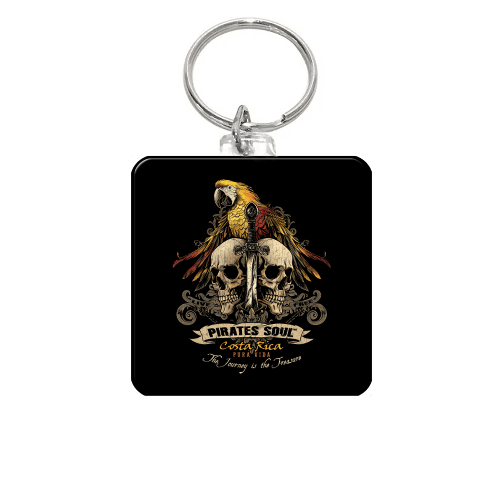 Pirate Soul Parrot
