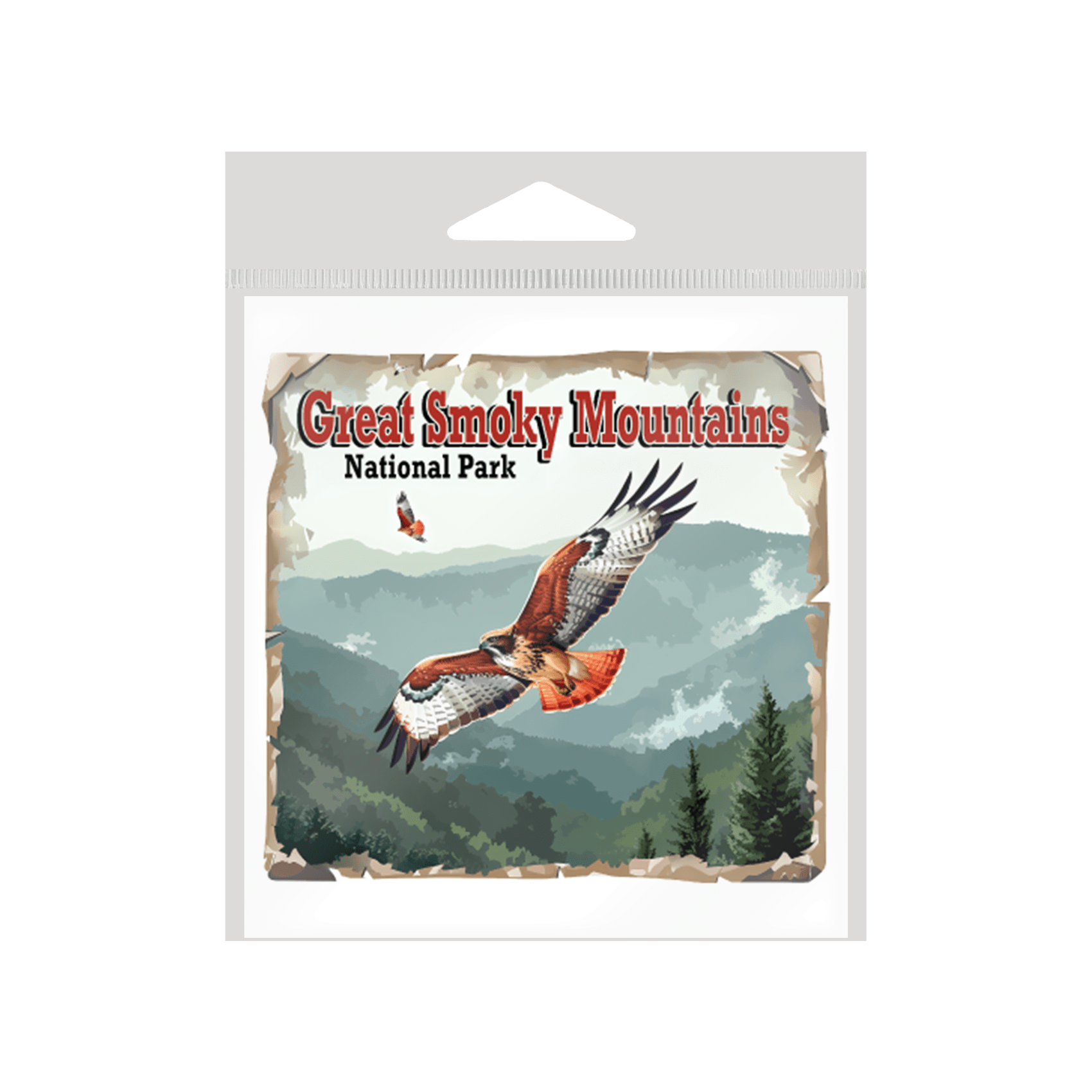 Red Tail Hawk Mtn Flight