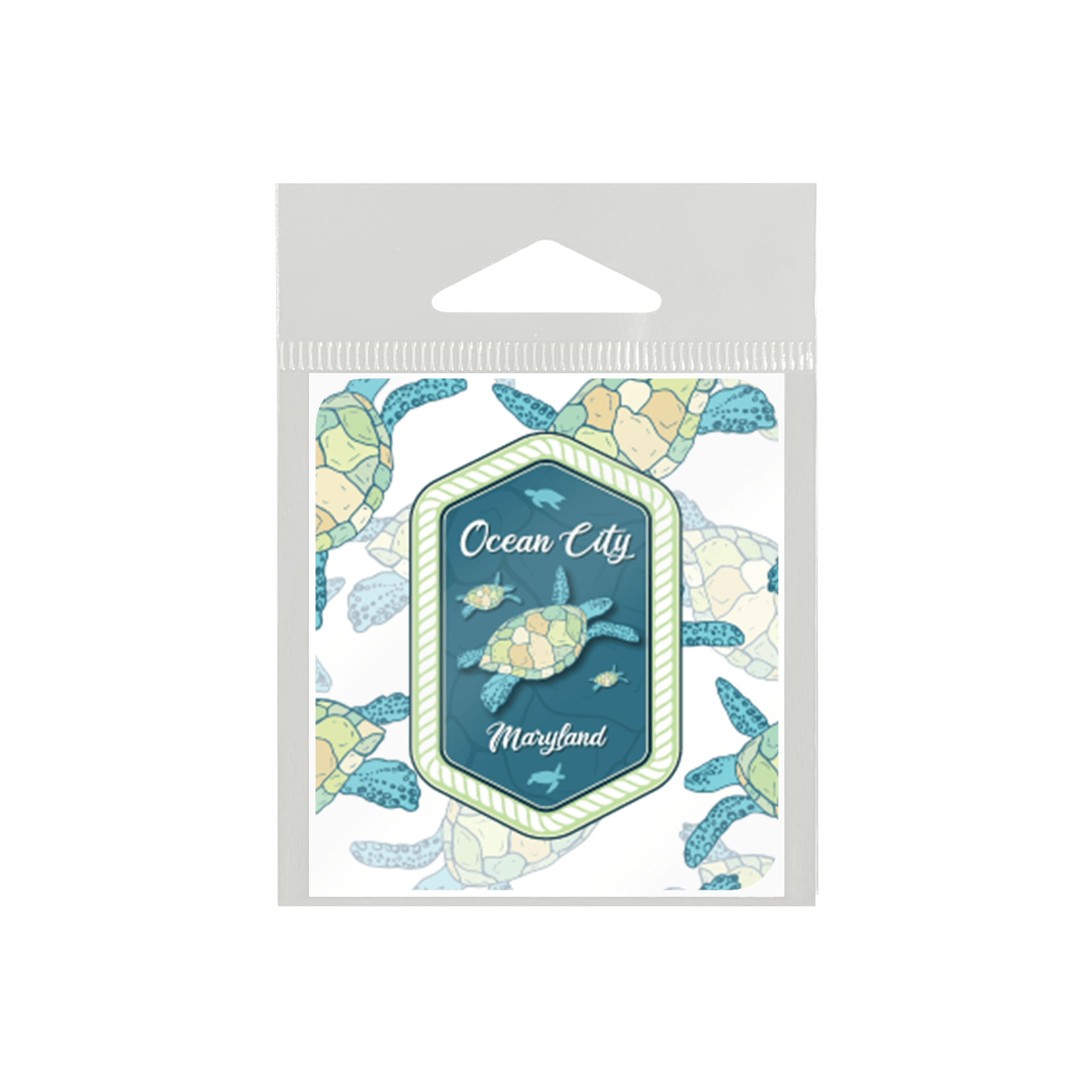 Sea Turtle Swim
