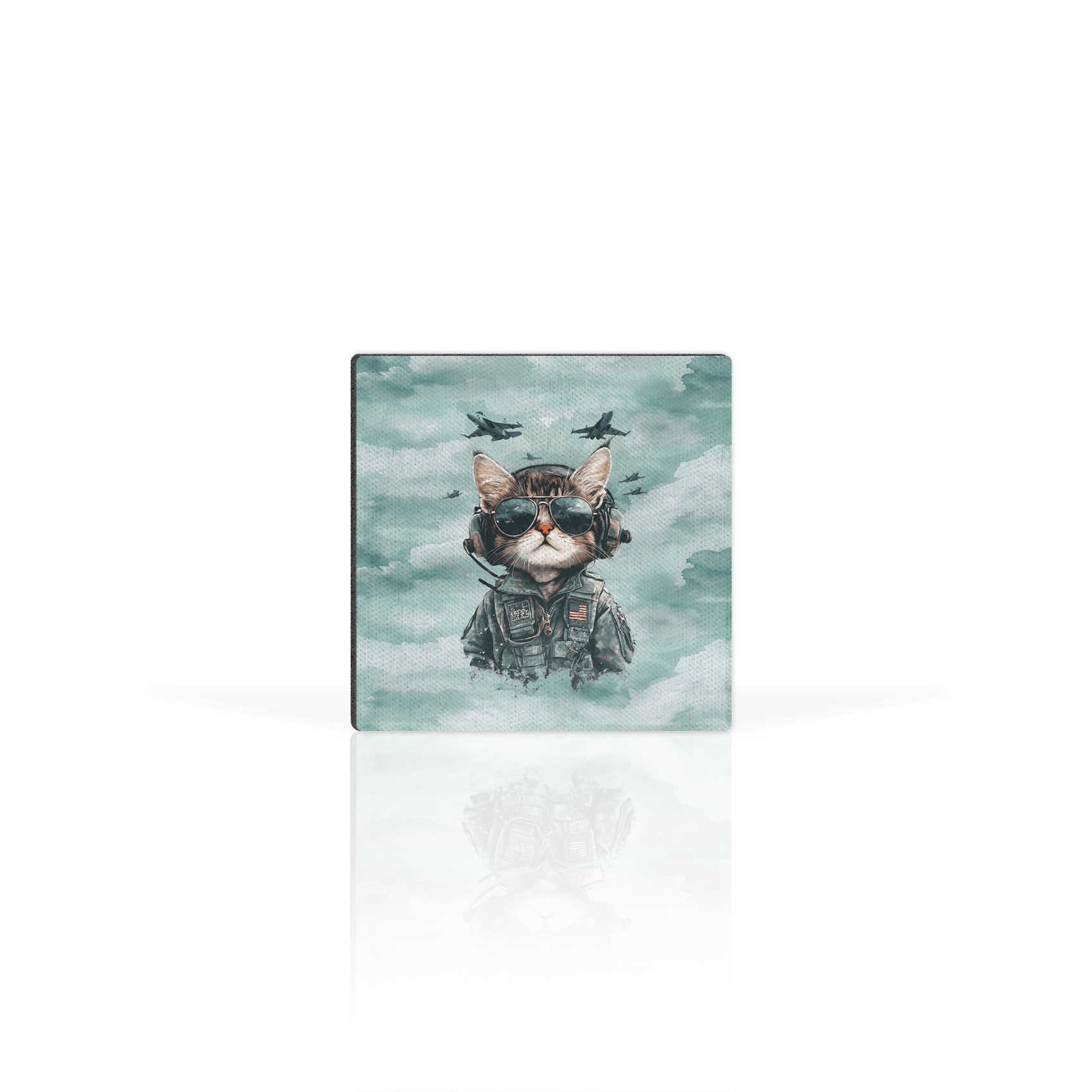 Tom Cat Aviator