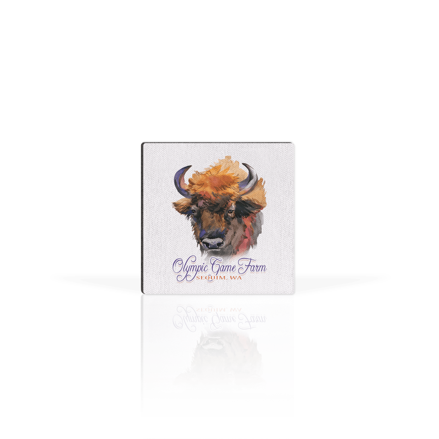 Watercolor Buffalo Head