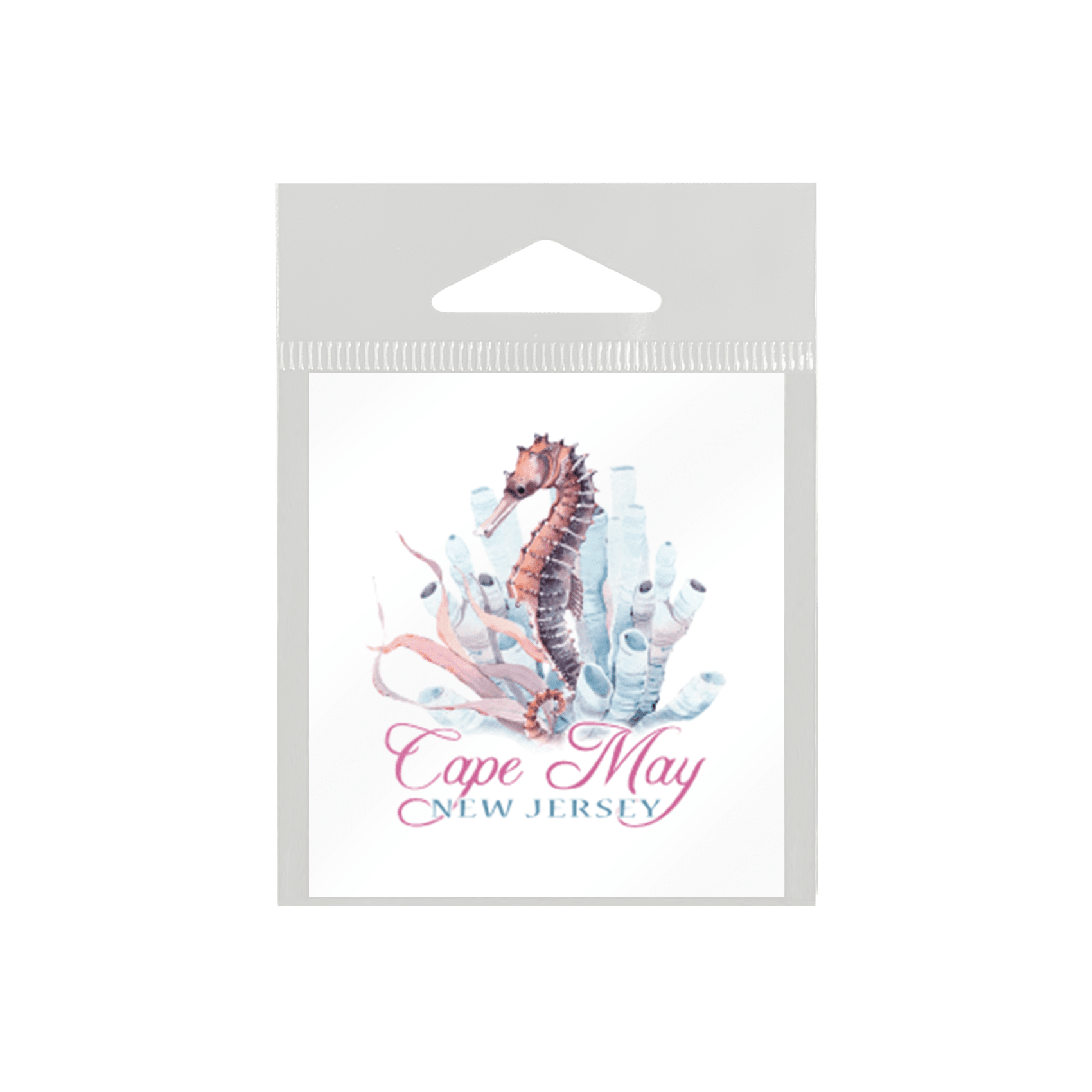 Watercolor Seahorse & Coral